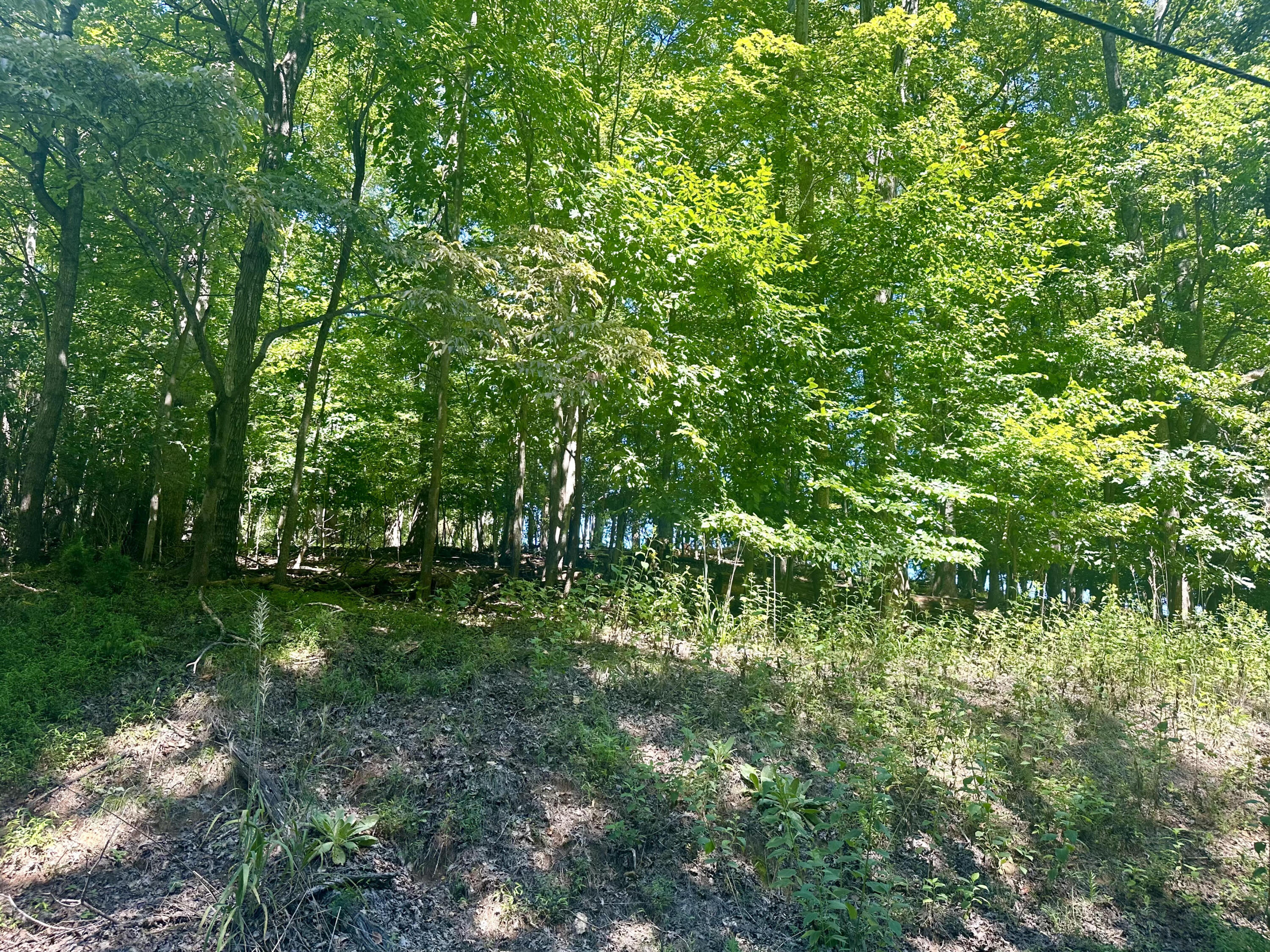 LOT 1 Whisperwood Ln, Moneta, Virginia image 2