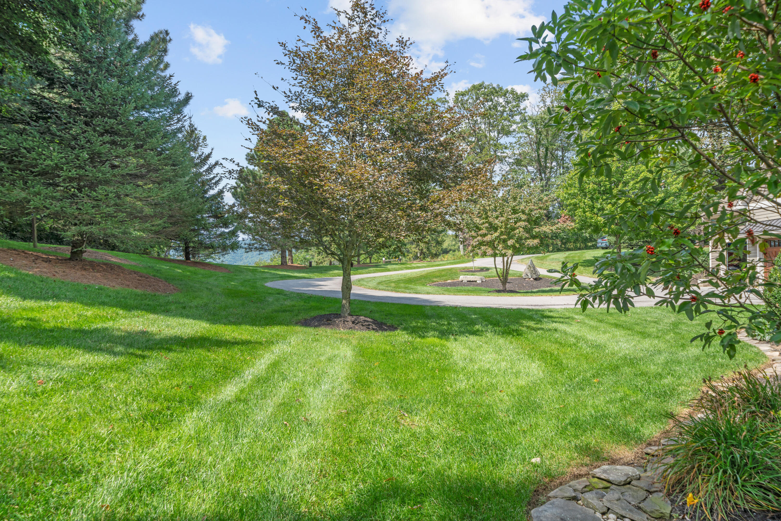 Bent Mountain, Virginia, 24059, United States, 5 Bedrooms Bedrooms, ,5 BathroomsBathrooms,Residential,Active,2025206