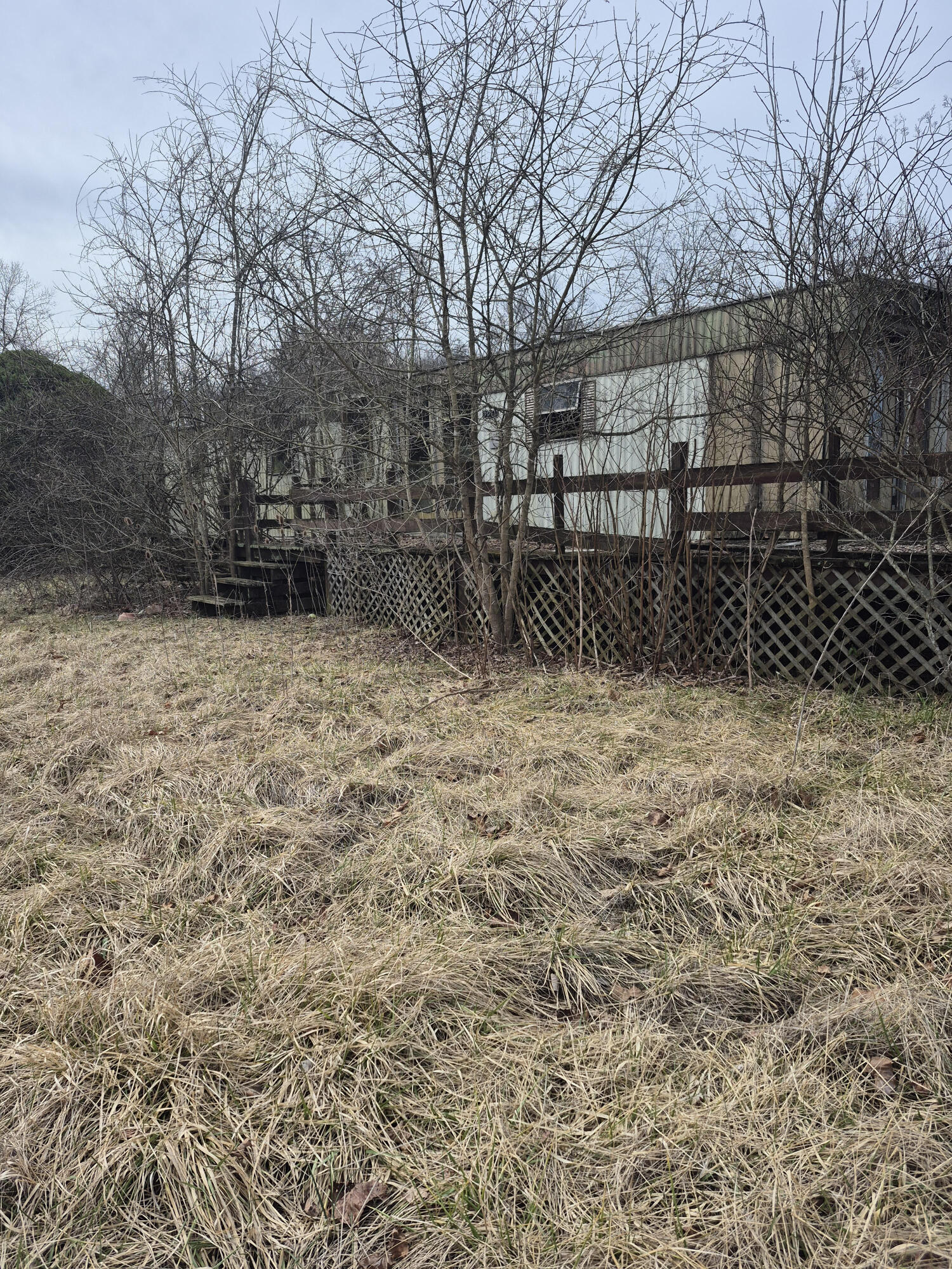 2201 Lithia Rd, Buchanan, Virginia image 6
