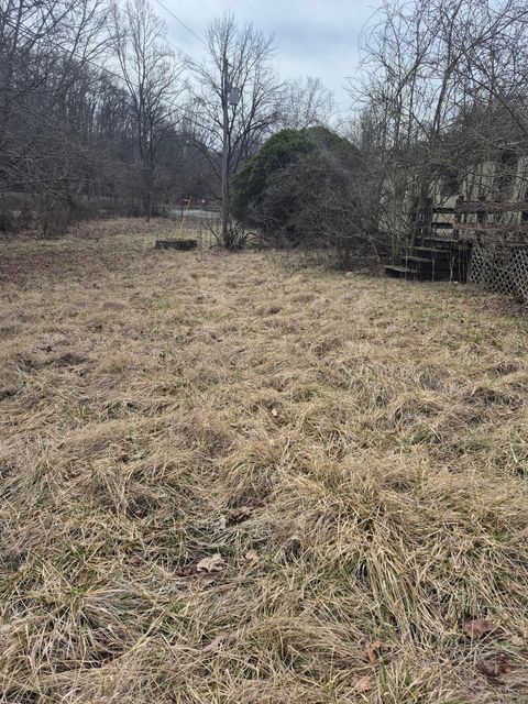 Vacant Land For Sale - 2201 Lithia Rd<br/> Buchanan, VA 24066