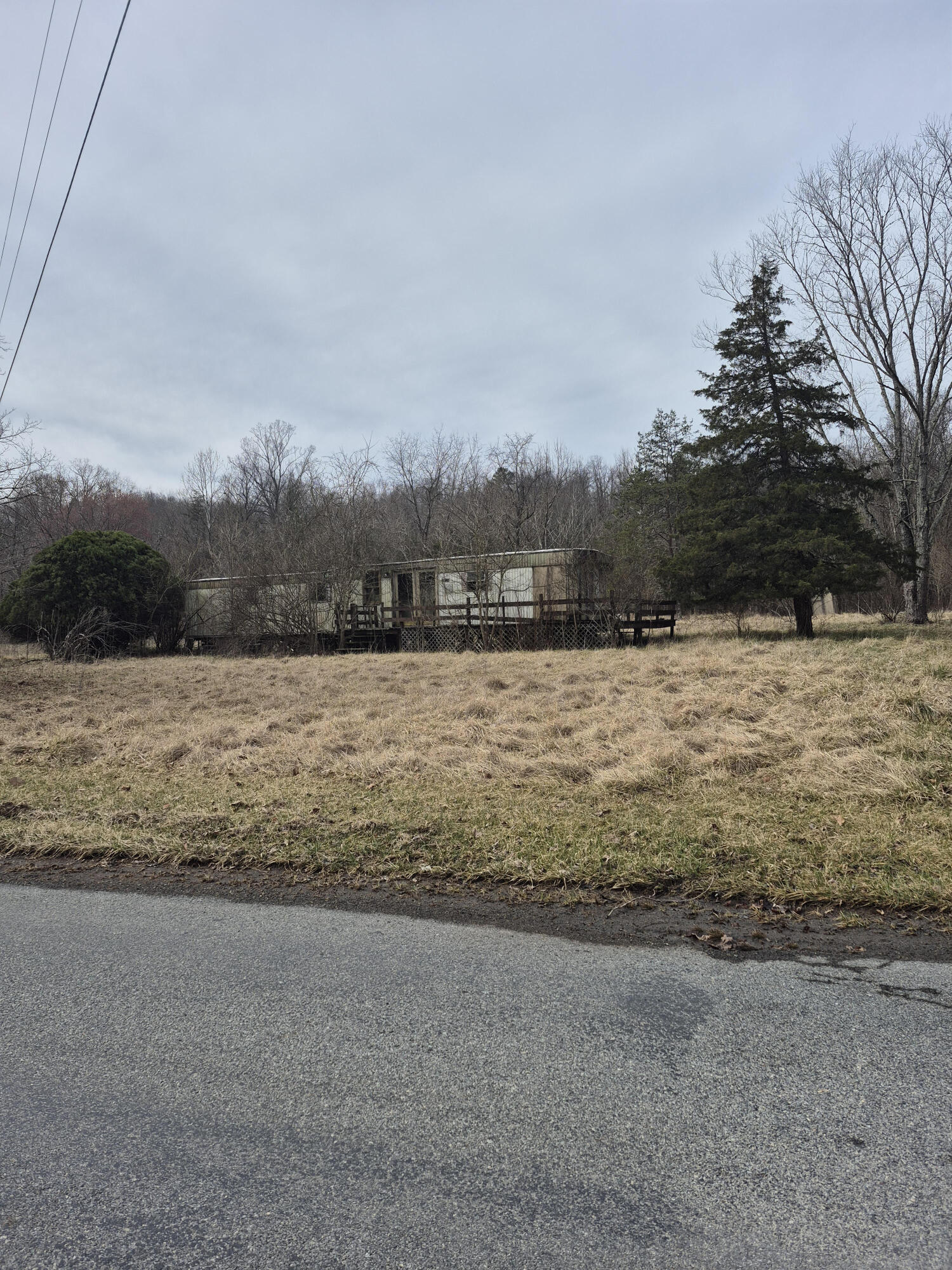 2201 Lithia Rd, Buchanan, Virginia image 2