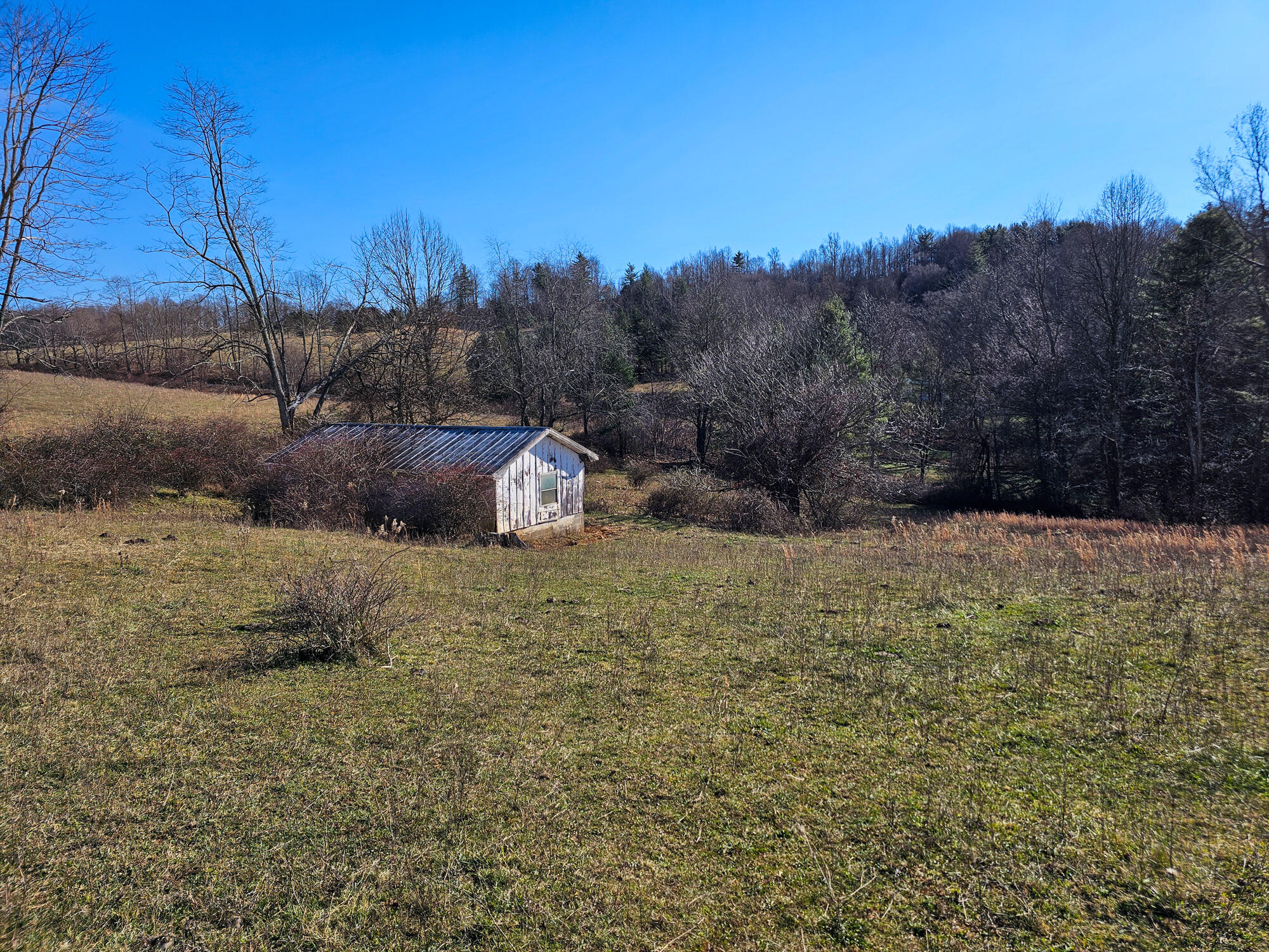 Dry Twig Rd, Laurel Fork, Virginia image 12