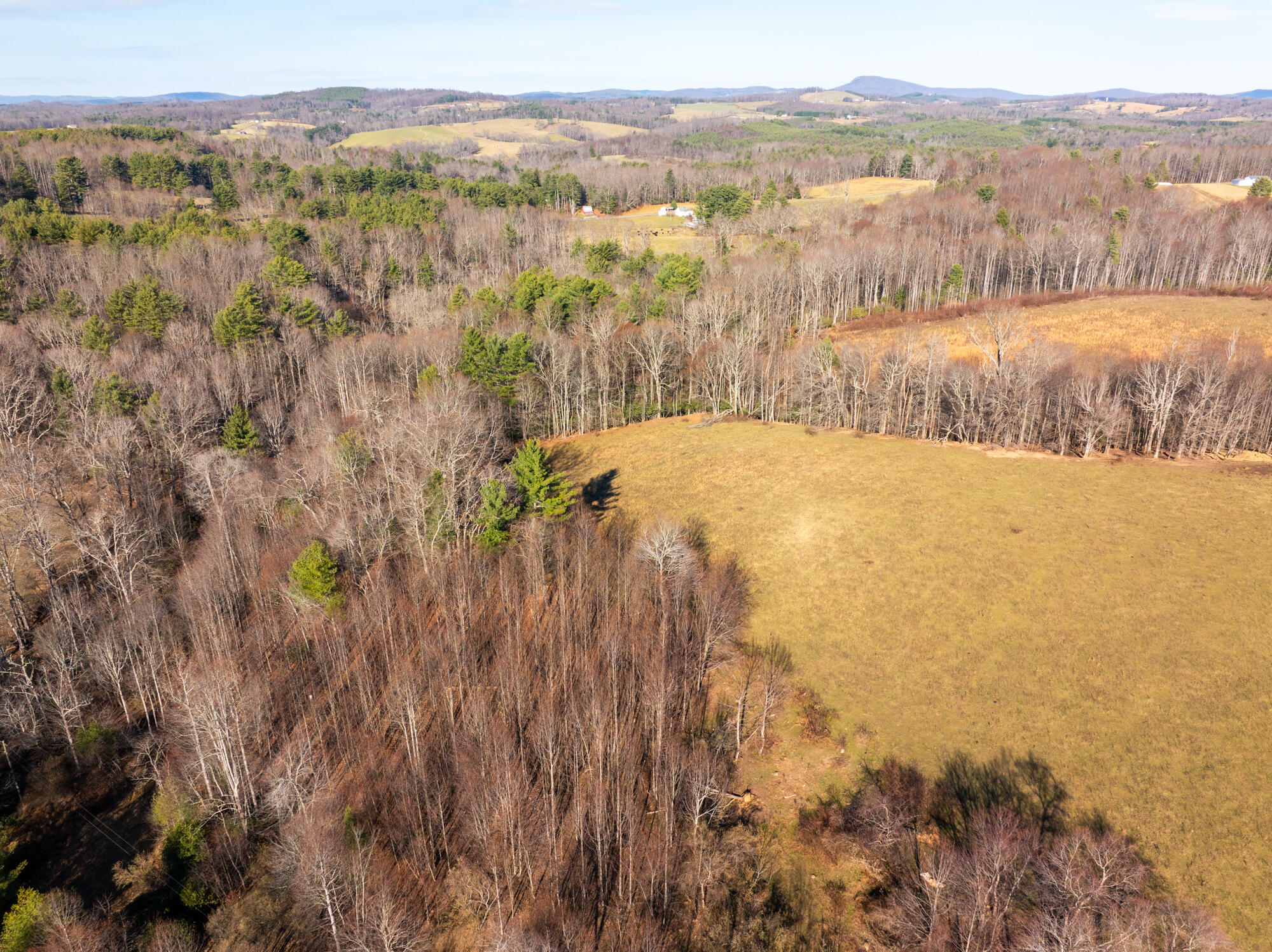 Dry Twig Rd, Laurel Fork, Virginia image 4