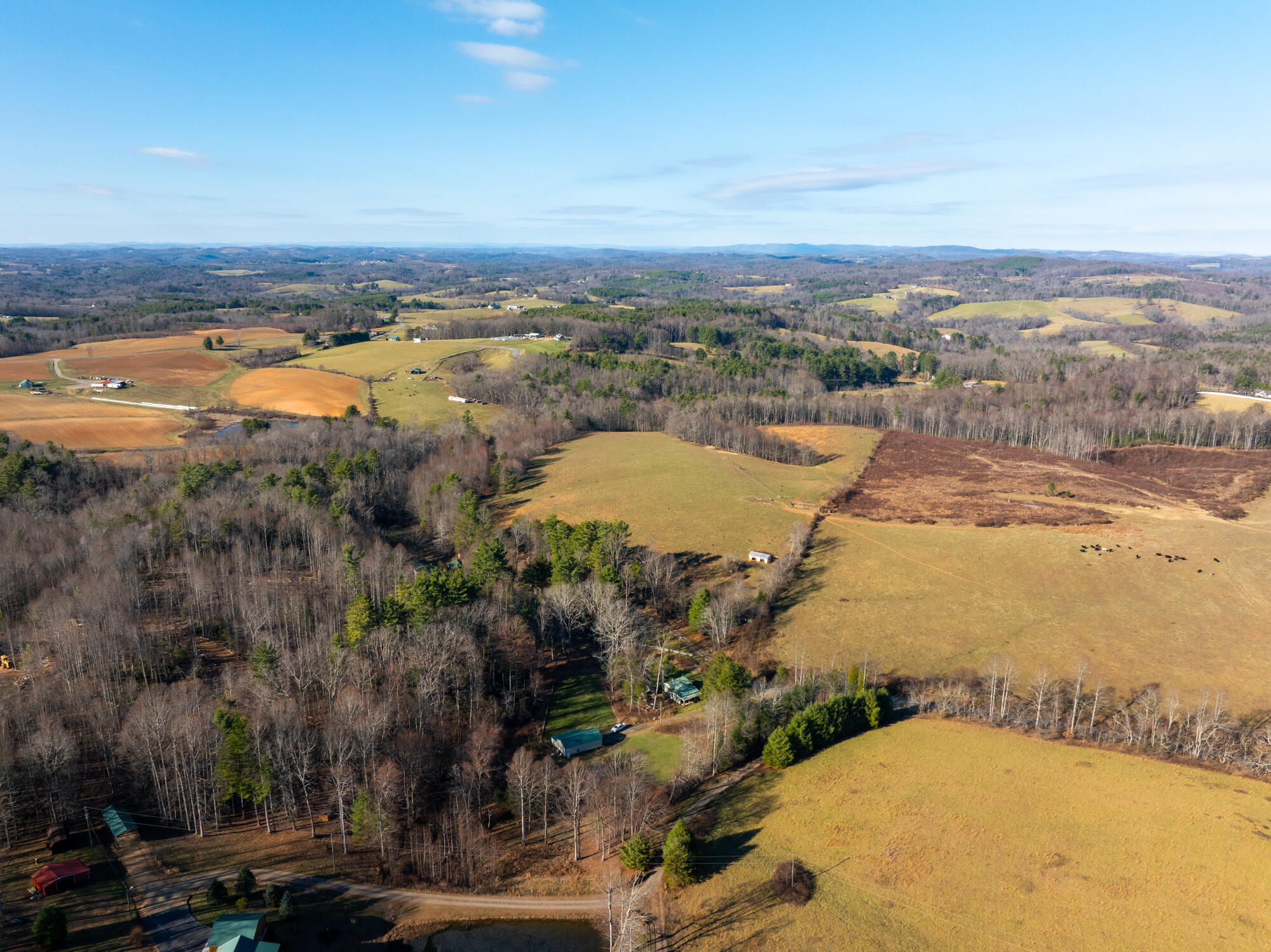 Dry Twig Rd, Laurel Fork, Virginia image 8