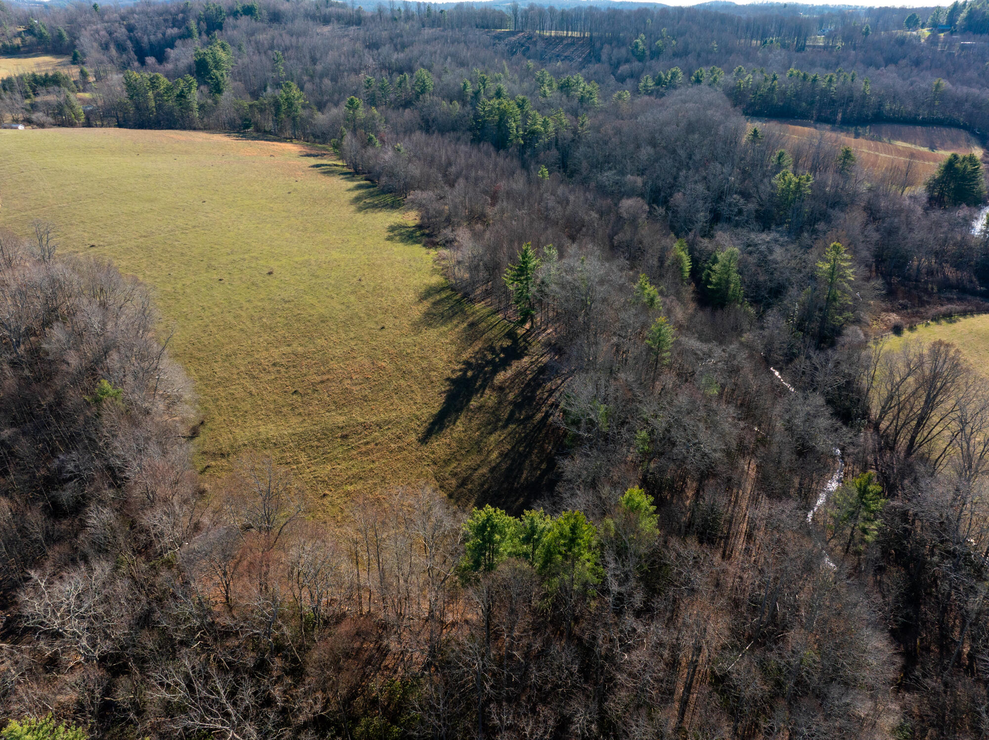 Dry Twig Rd, Laurel Fork, Virginia image 3