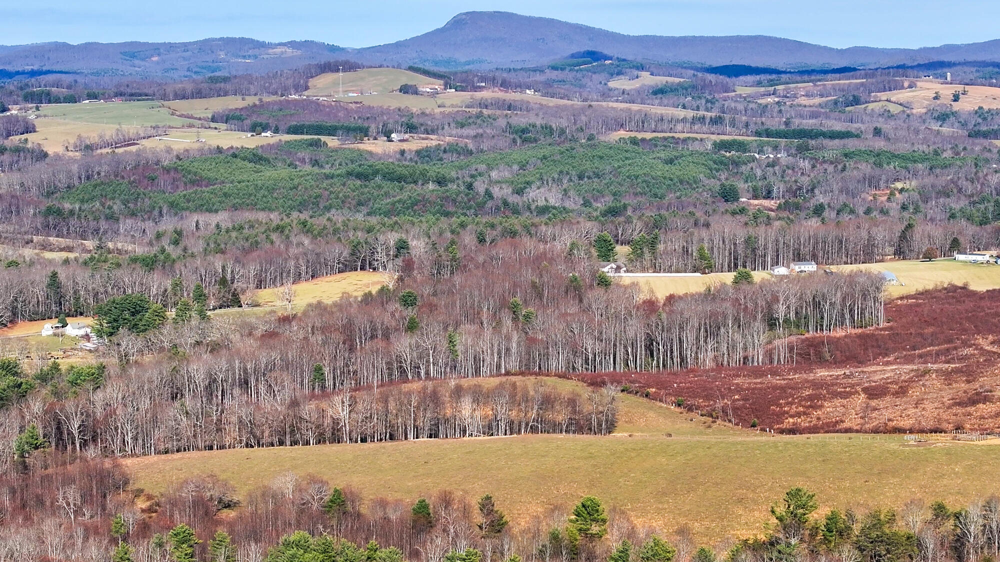 Dry Twig Rd, Laurel Fork, Virginia image 10