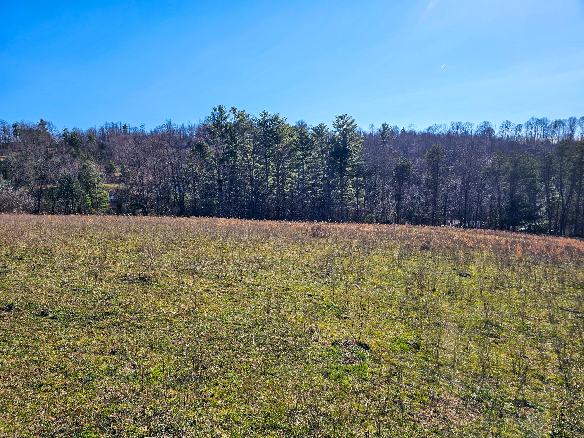 Dry Twig Rd, Laurel Fork, Virginia image 11