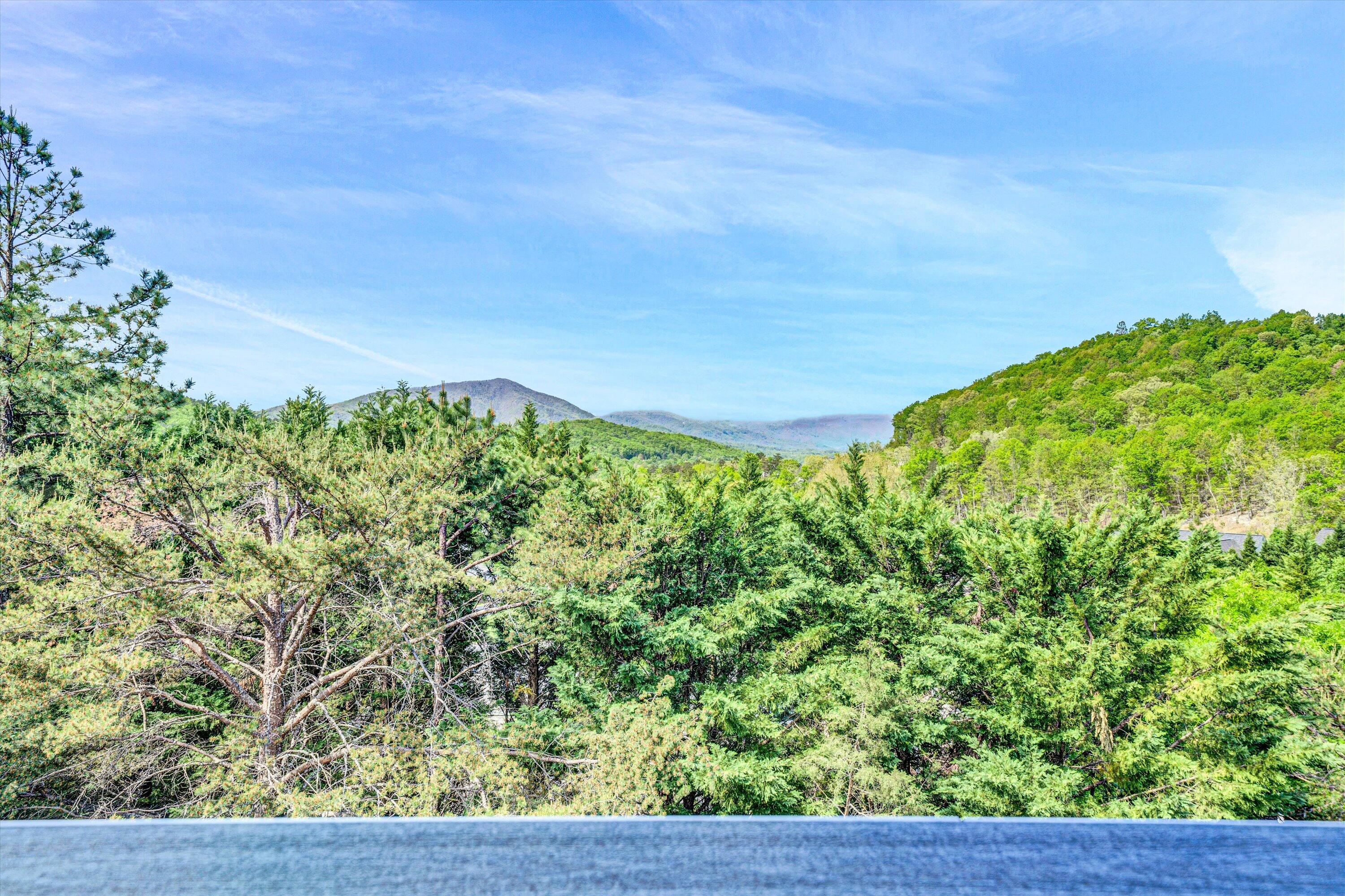4080 Overlook Trail Dr, Roanoke, Virginia image 31