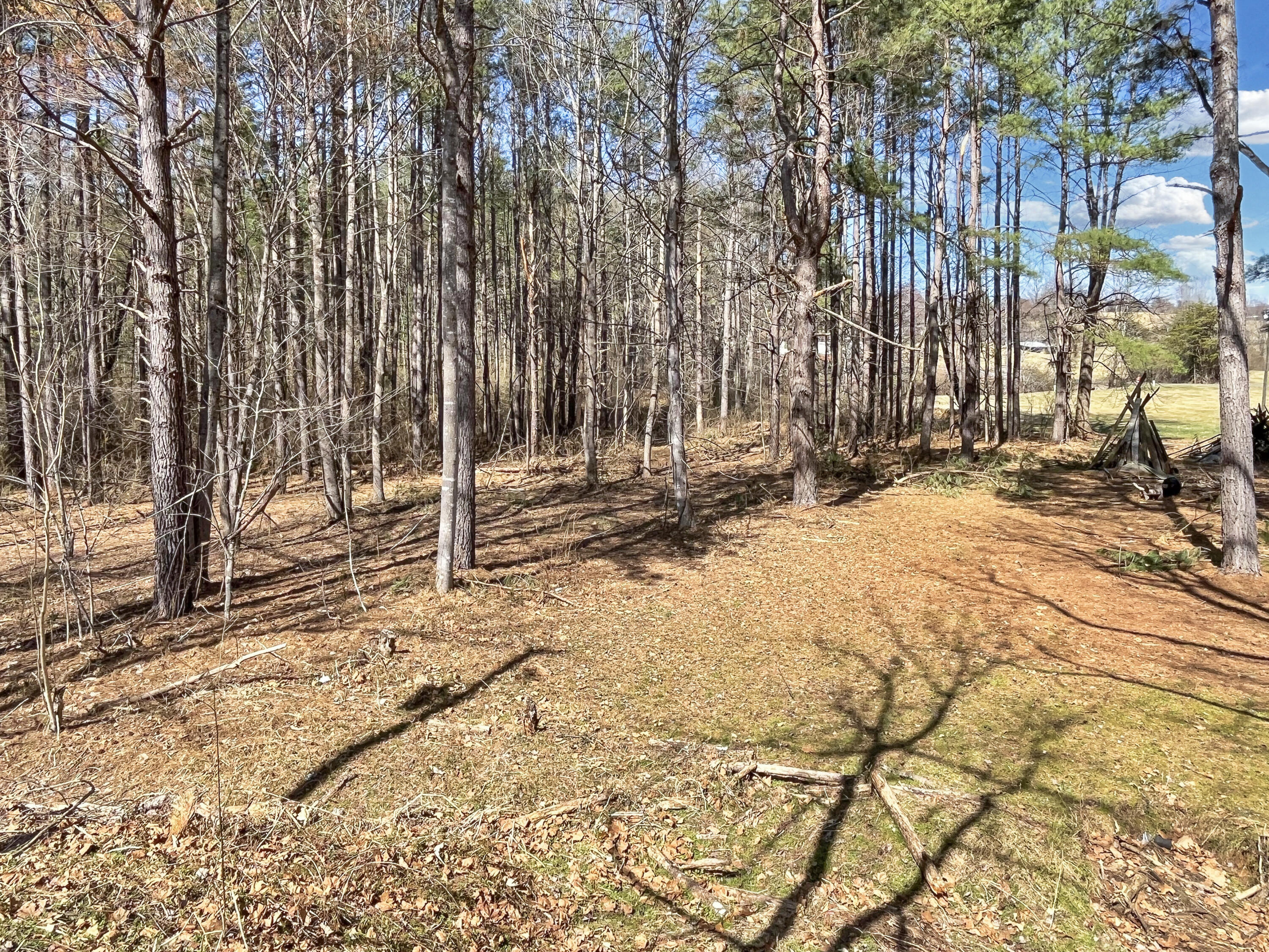 777 Fairfield Rd, Bassett, Virginia image 33