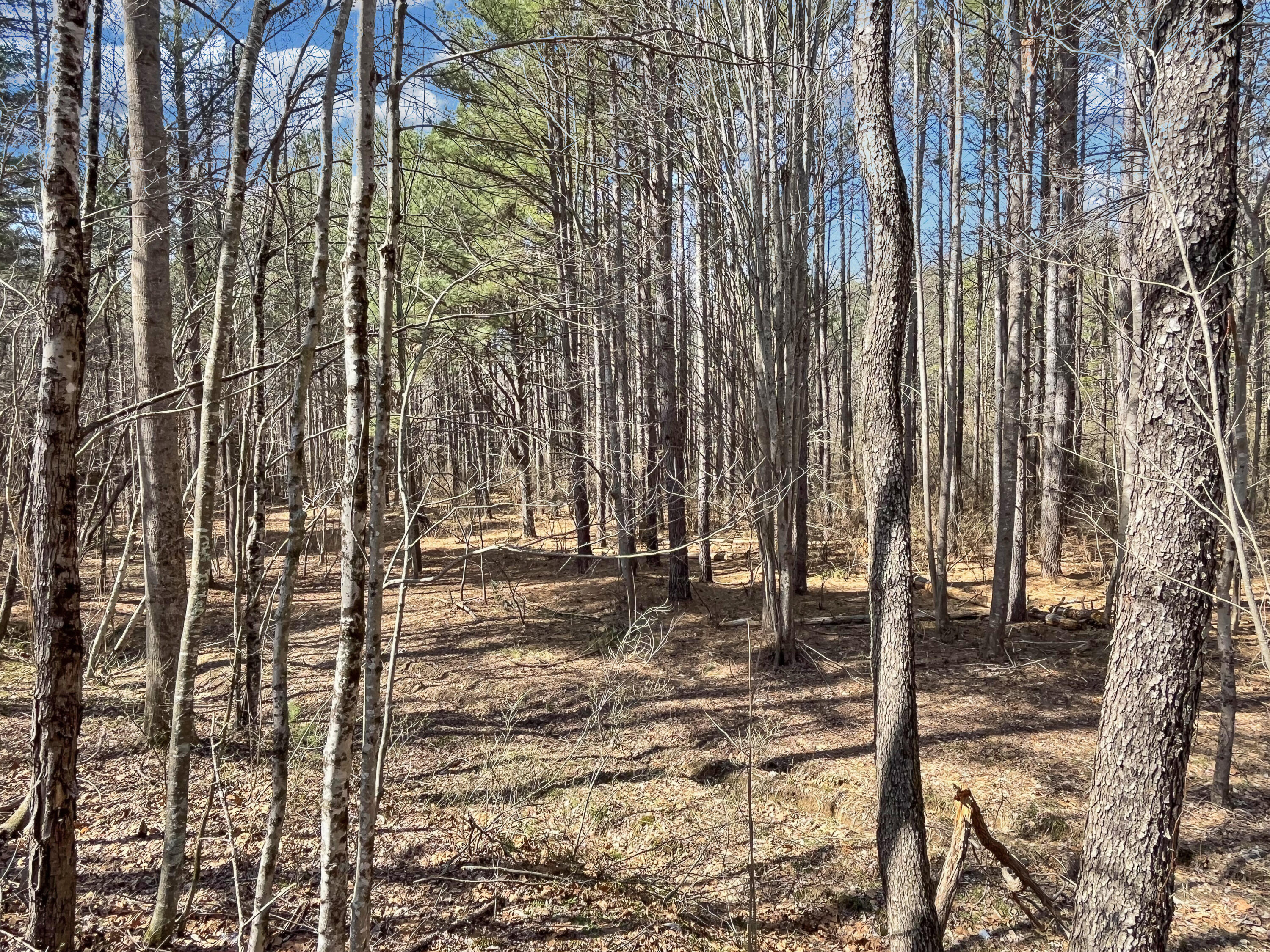 777 Fairfield Rd, Bassett, Virginia image 35