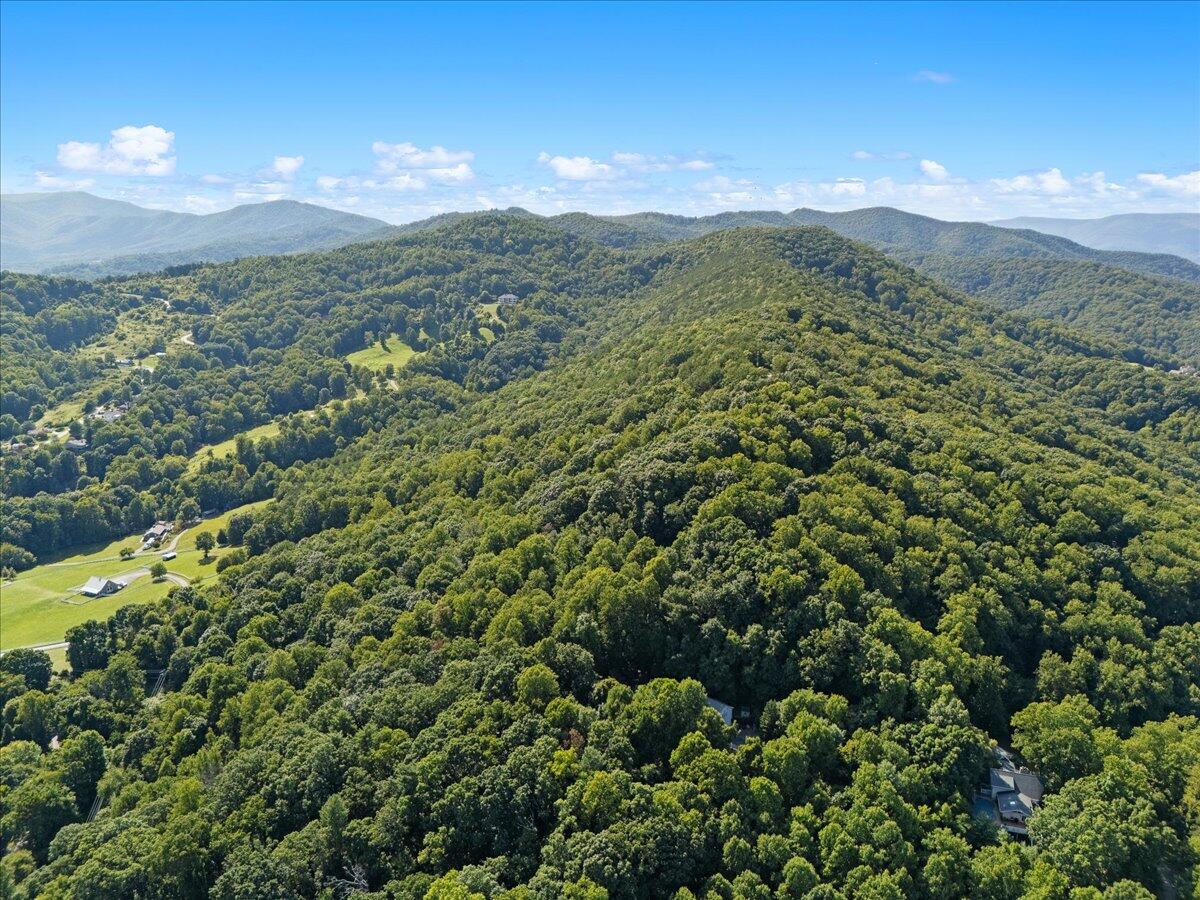 000 Sugar Loaf Mountain Rd, Roanoke, Virginia image 13