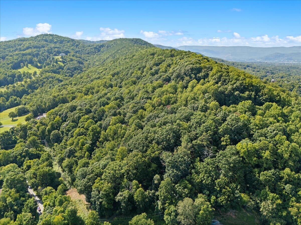 000 Sugar Loaf Mountain Rd, Roanoke, Virginia image 14