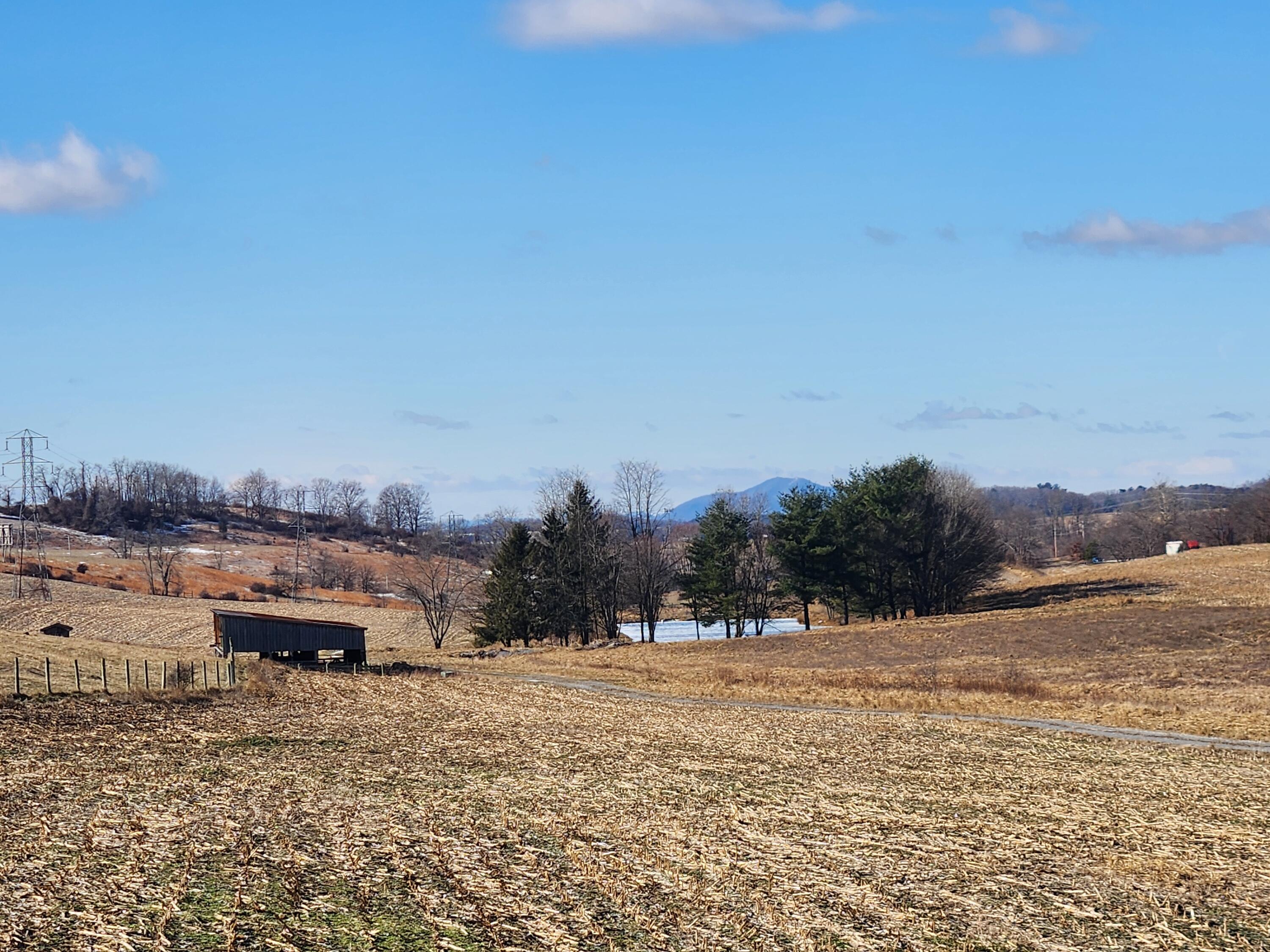 TBD Flanagan Drive, Christiansburg, Virginia image 29