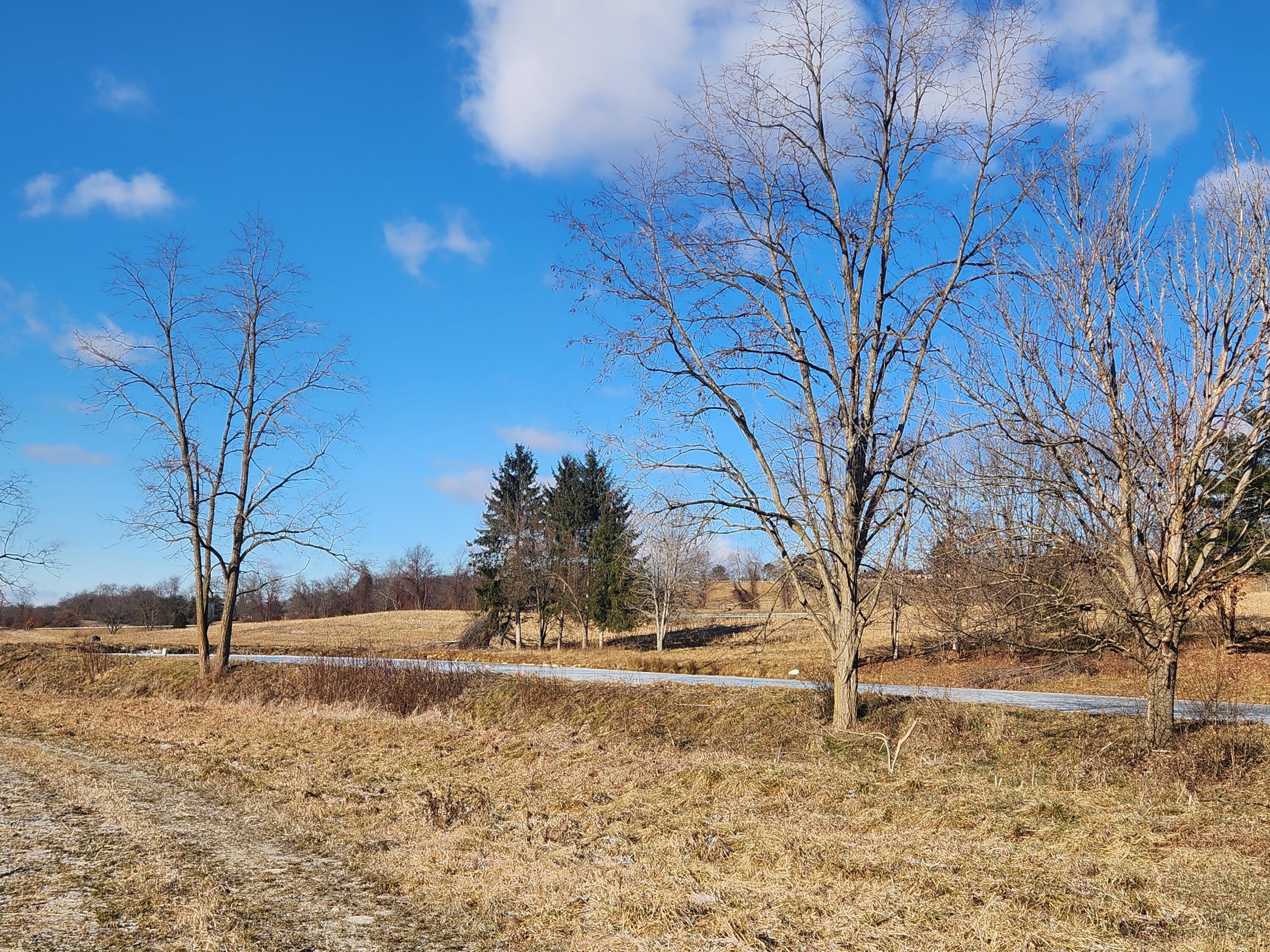 TBD Flanagan Drive, Christiansburg, Virginia image 10