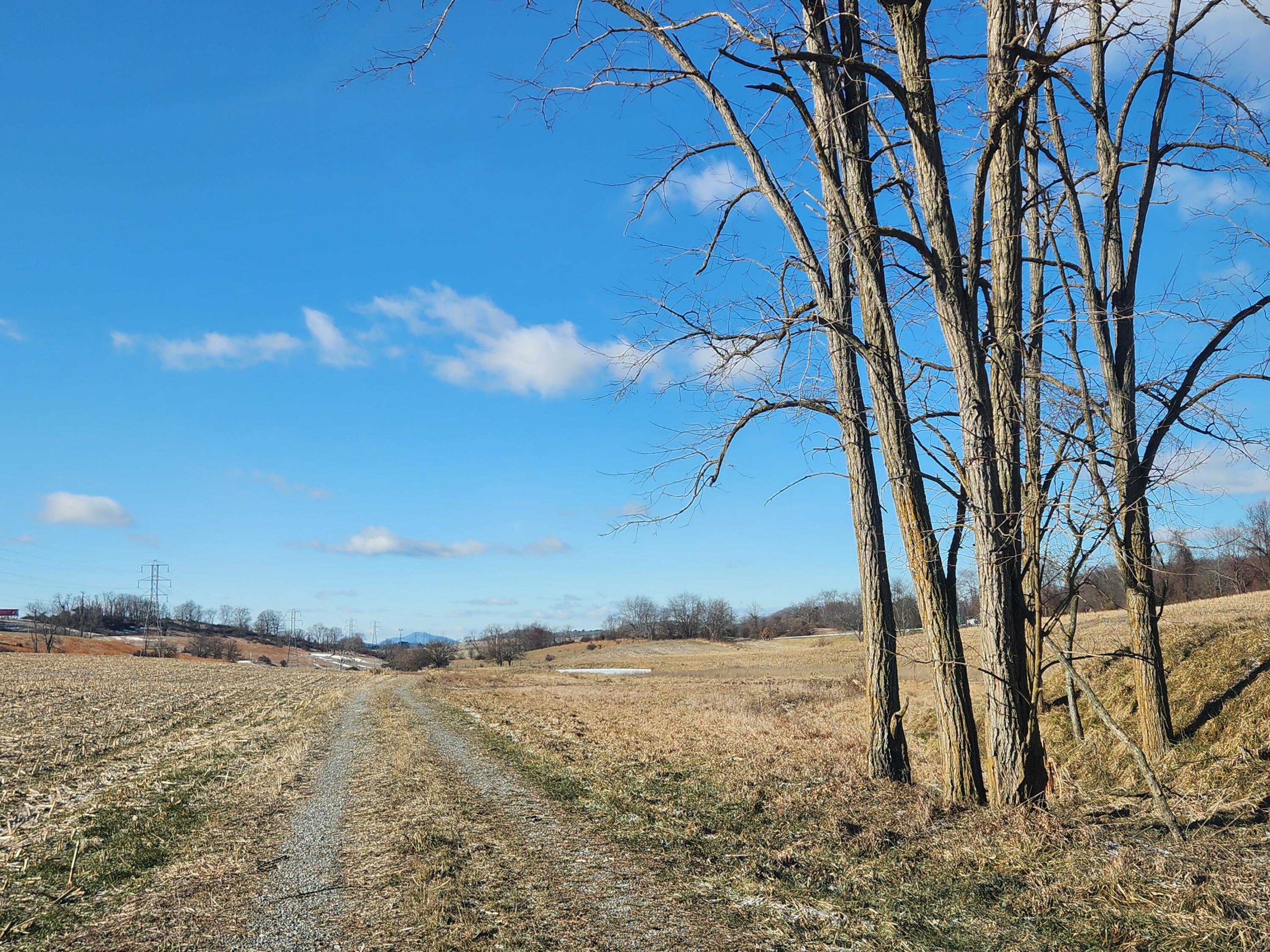 TBD Flanagan Drive, Christiansburg, Virginia image 11