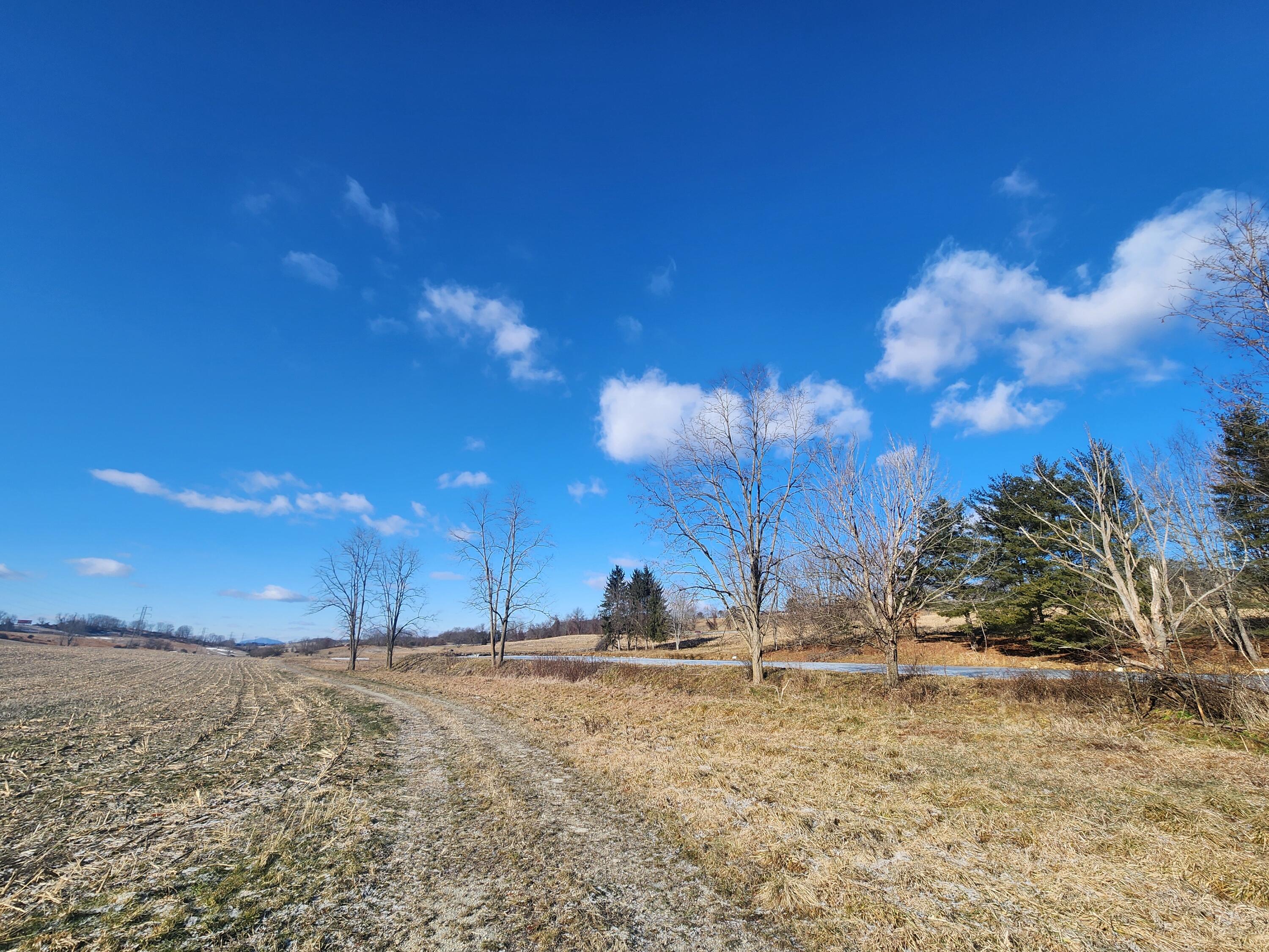 TBD Flanagan Drive, Christiansburg, Virginia image 8