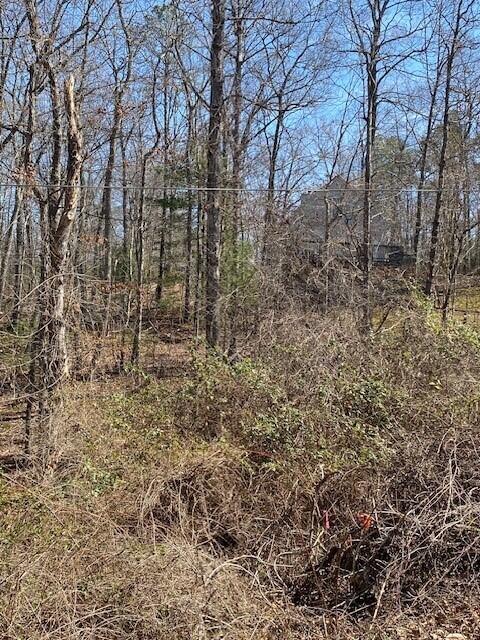 Forest Acre Trl, Salem, Virginia image 3