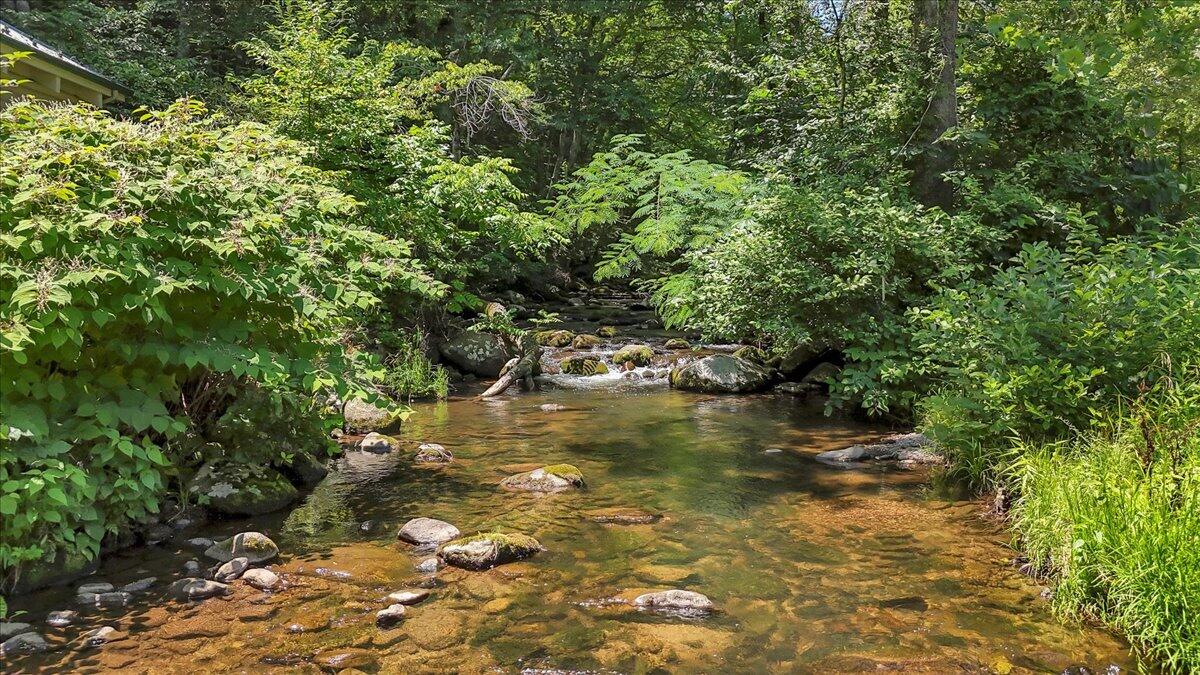 Big Island, Virginia 24526, United States, 3 Bedrooms Bedrooms, ,2 BathroomsBathrooms,Residential,Pending,180567