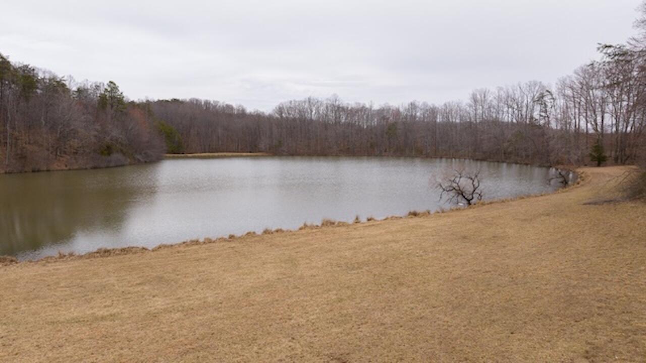 TBD Scenic Dr, Patrick Springs, Virginia image 5