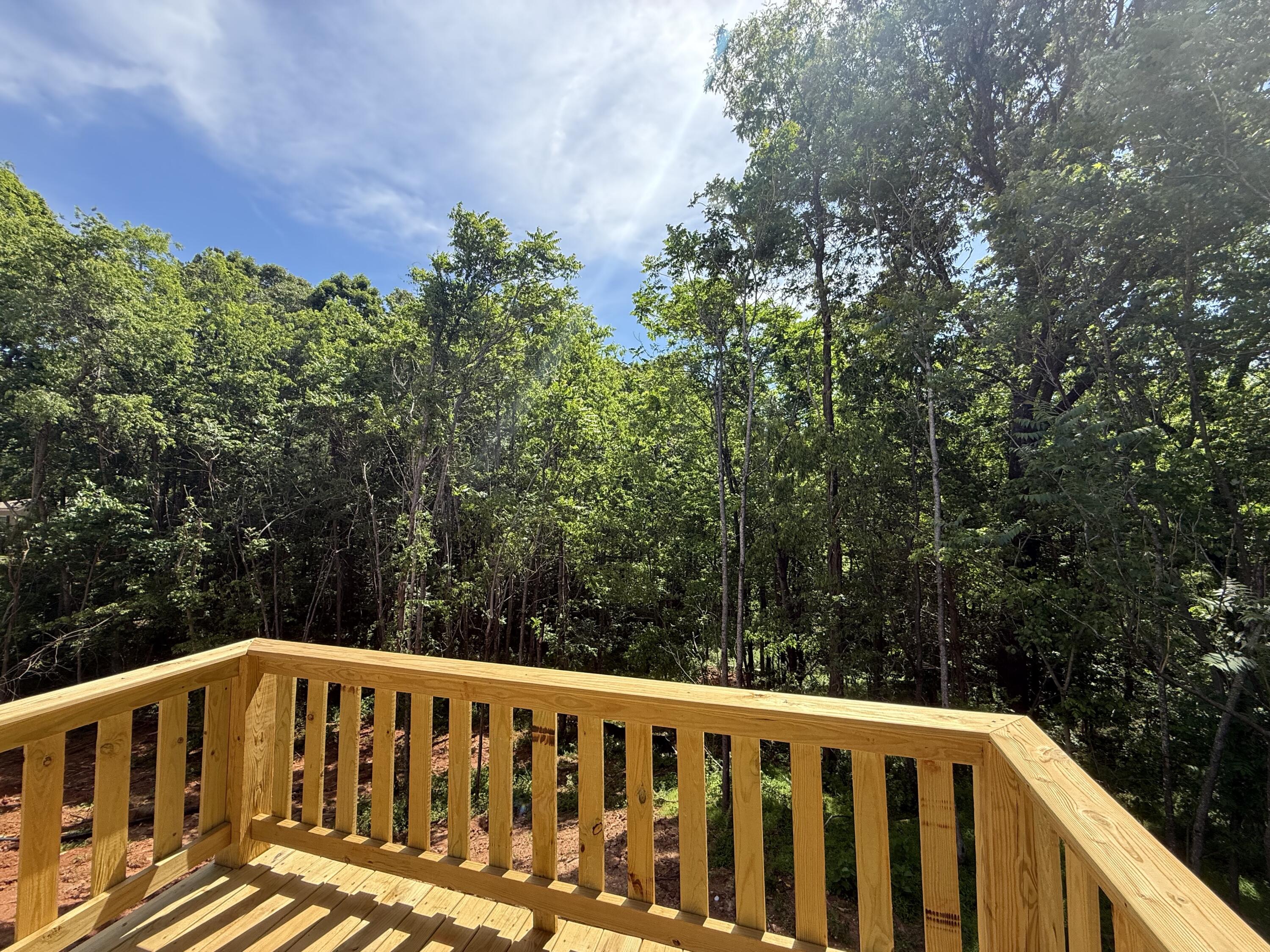 1484 White House Rd, Moneta, Virginia image 16