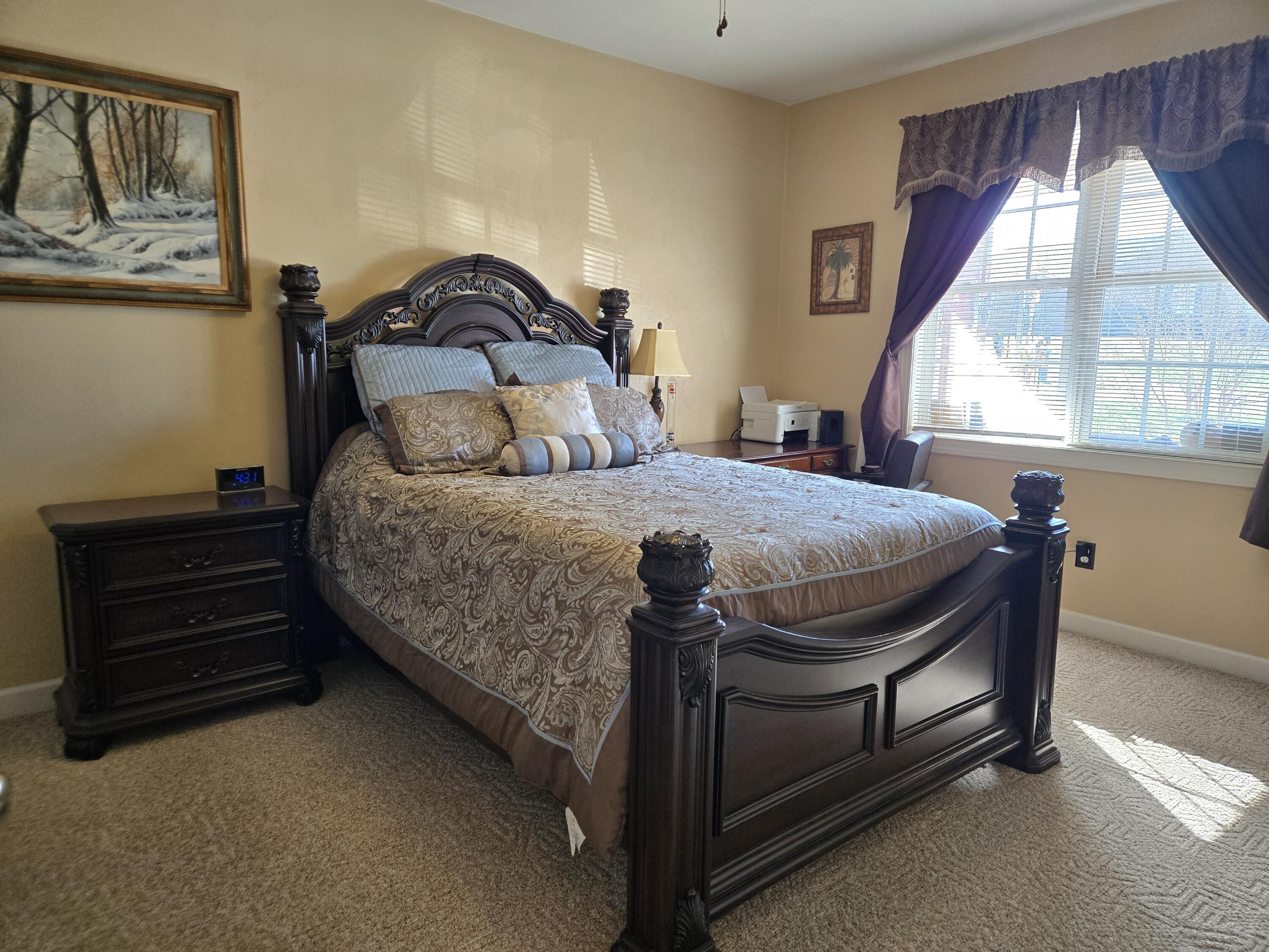 2710 Feather Garden Cir, Vinton, Virginia image 24