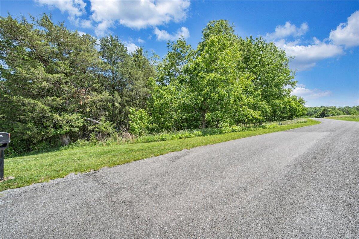 Lot 7 Augusta Way, Wirtz, Virginia image 25