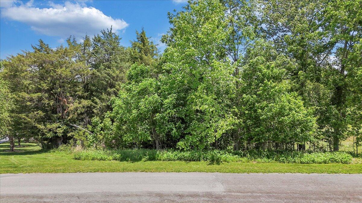 Lot 7 Augusta Way, Wirtz, Virginia image 9