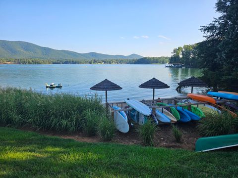 Homes For Sale - 6605 Smith Mountain Rd #101<br/> Penhook, VA 24137