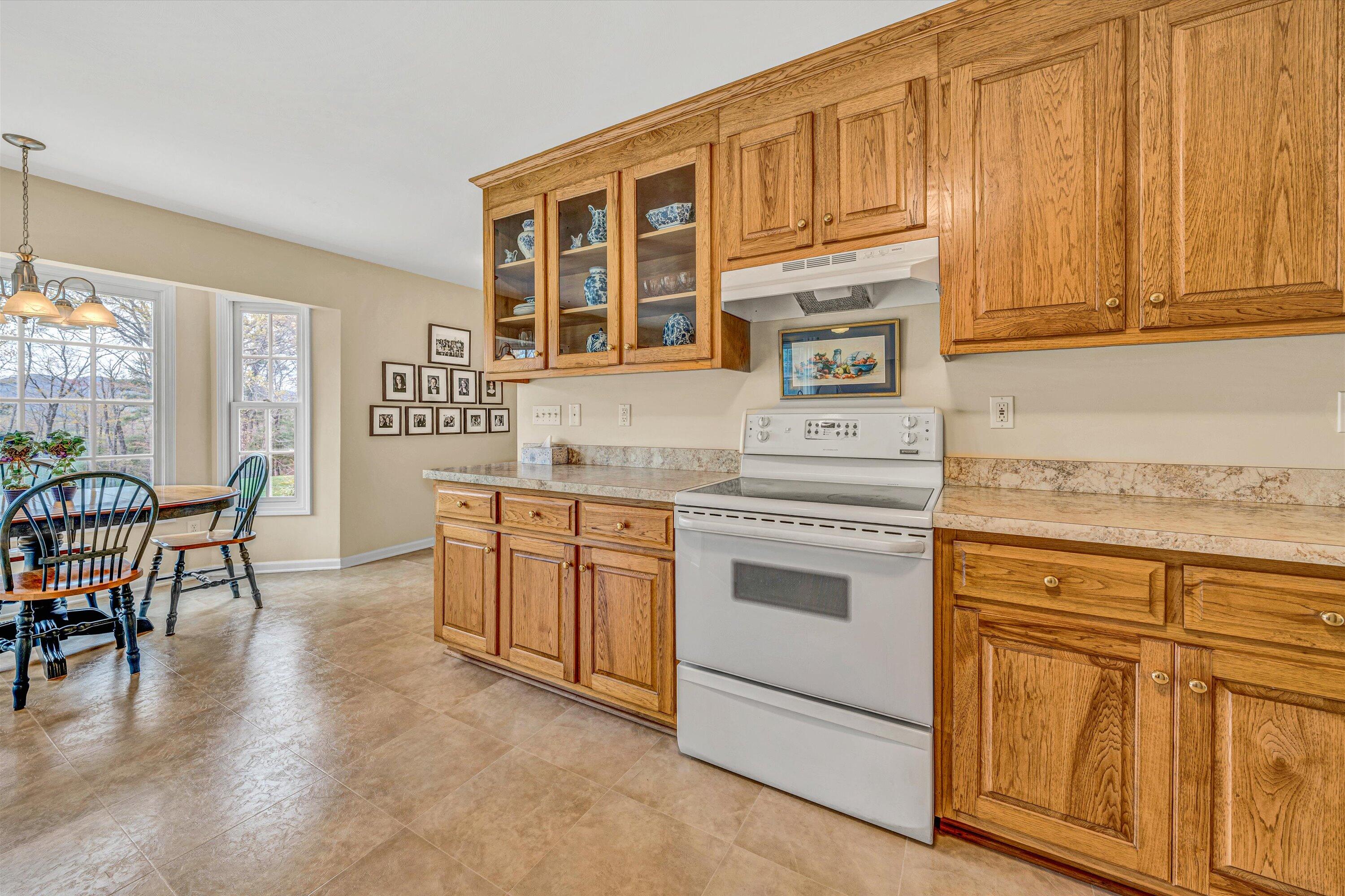 100 Ridge Mountain Dr, Boones Mill, Virginia image 12