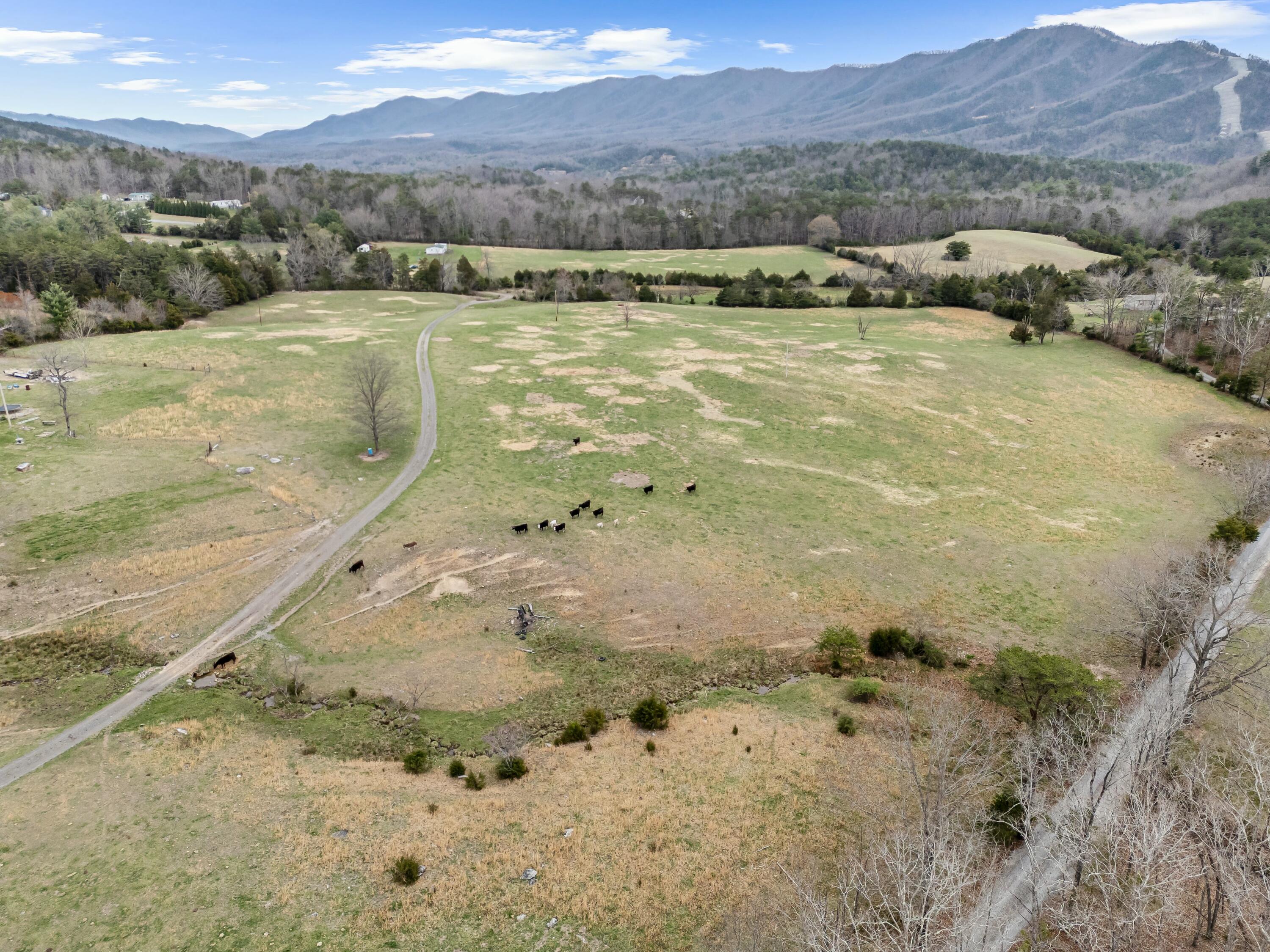 3588 Flatwoods Rd, Elliston, Virginia image 3