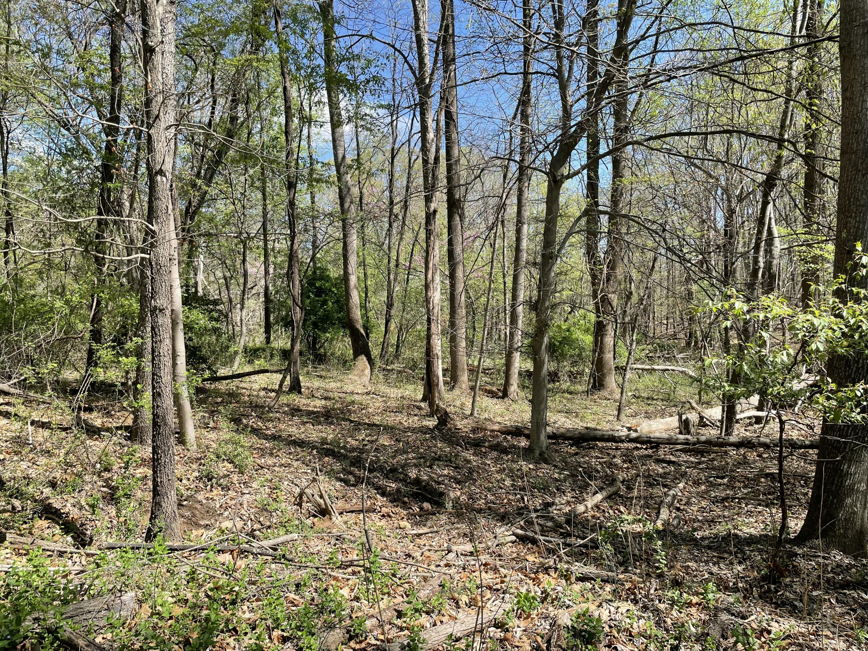 Lot 5 Fort Lewis Church Rd, Salem, Virginia image 7