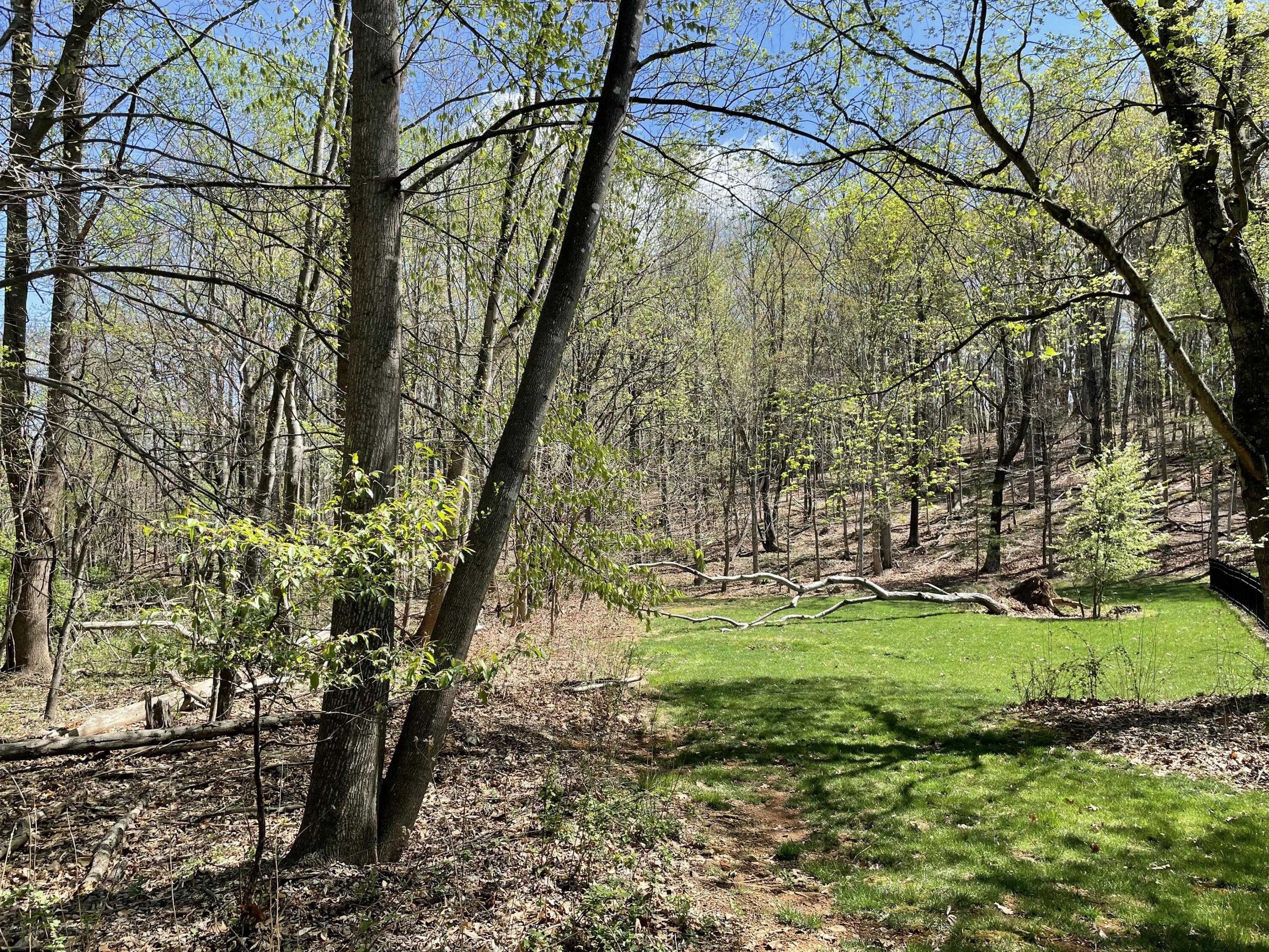 Lot 5 Fort Lewis Church Rd, Salem, Virginia image 2