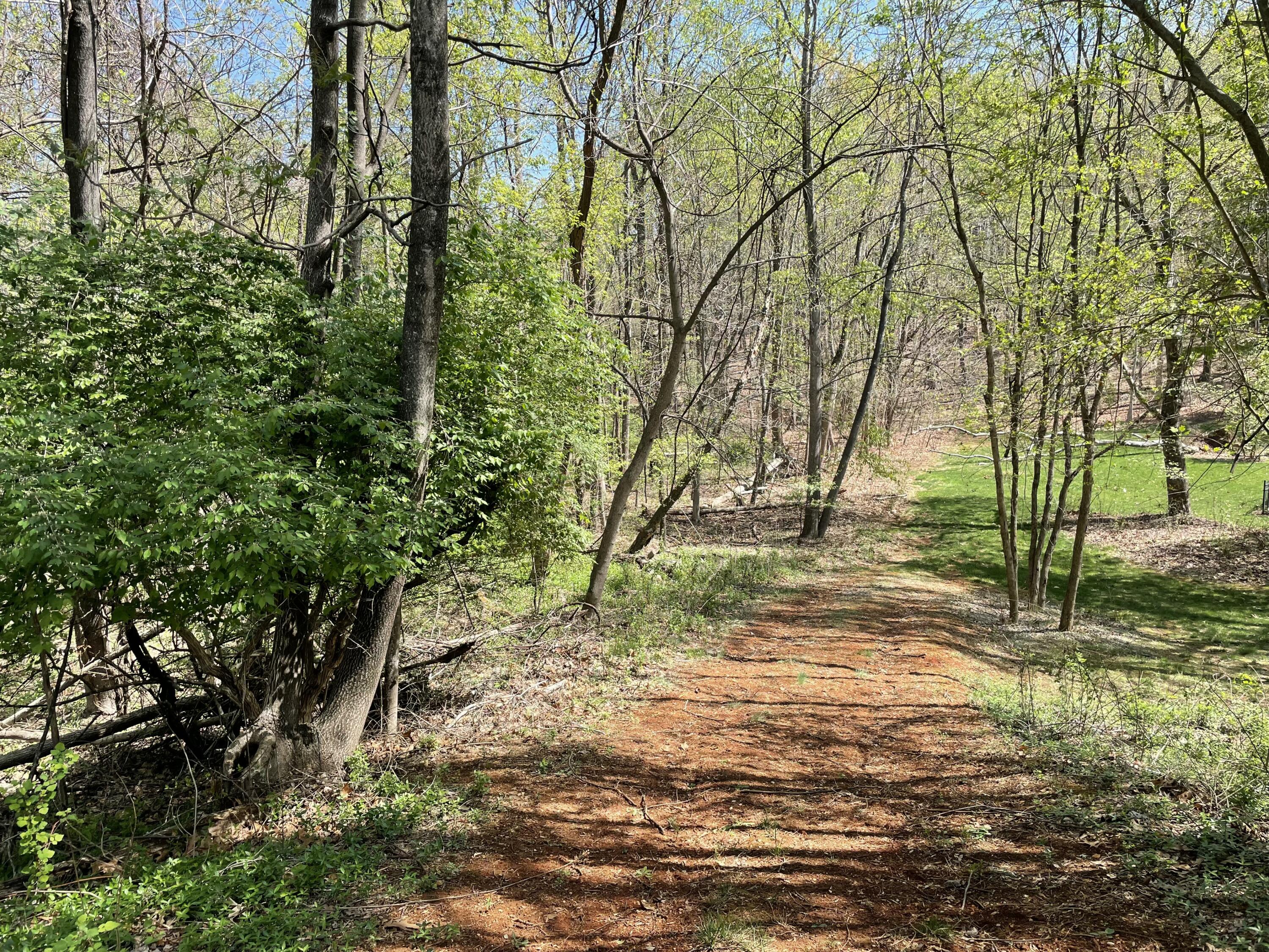 Lot 5 Fort Lewis Church Rd, Salem, Virginia image 3
