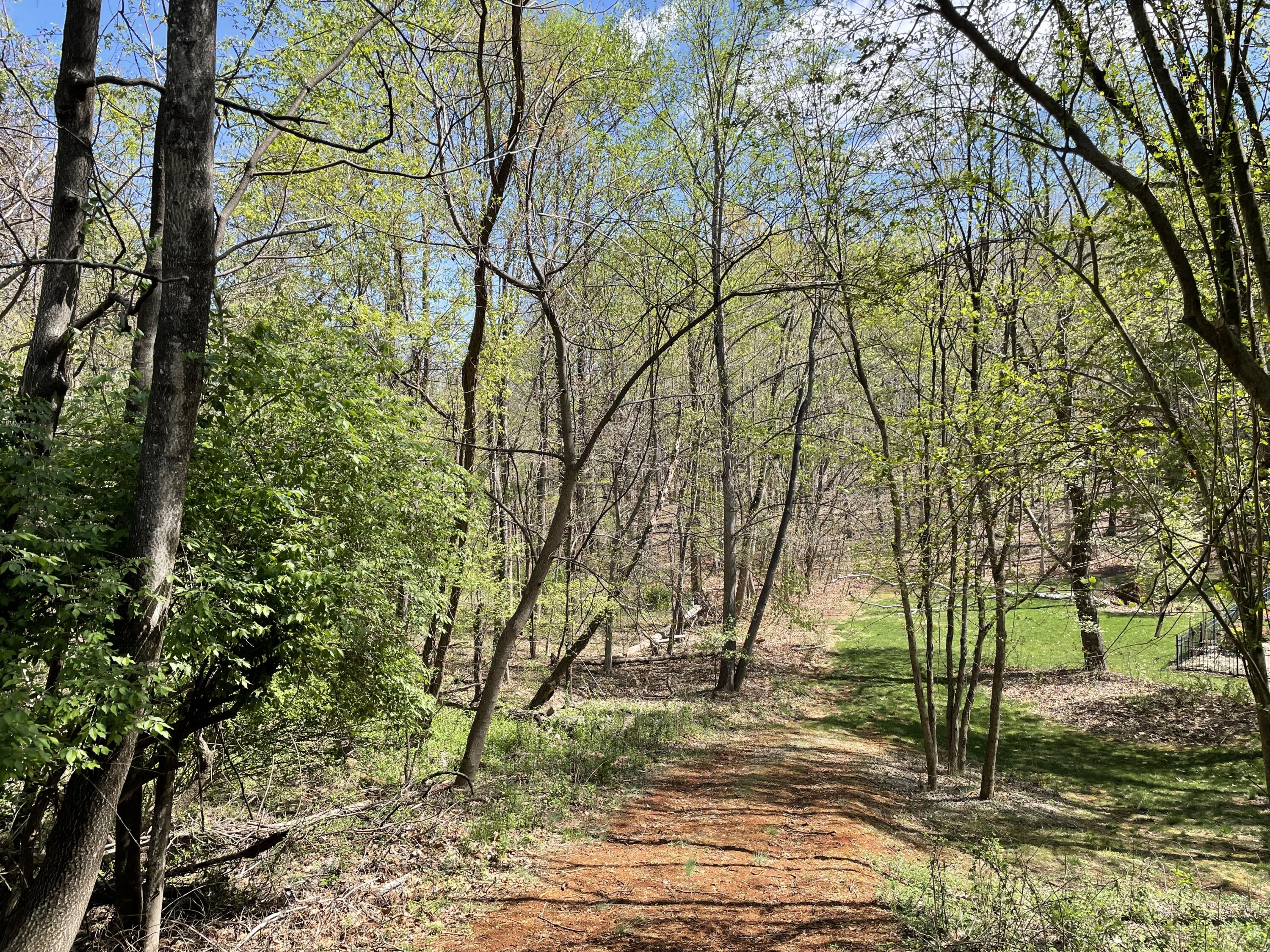 Lot 5 Fort Lewis Church Rd, Salem, Virginia image 1