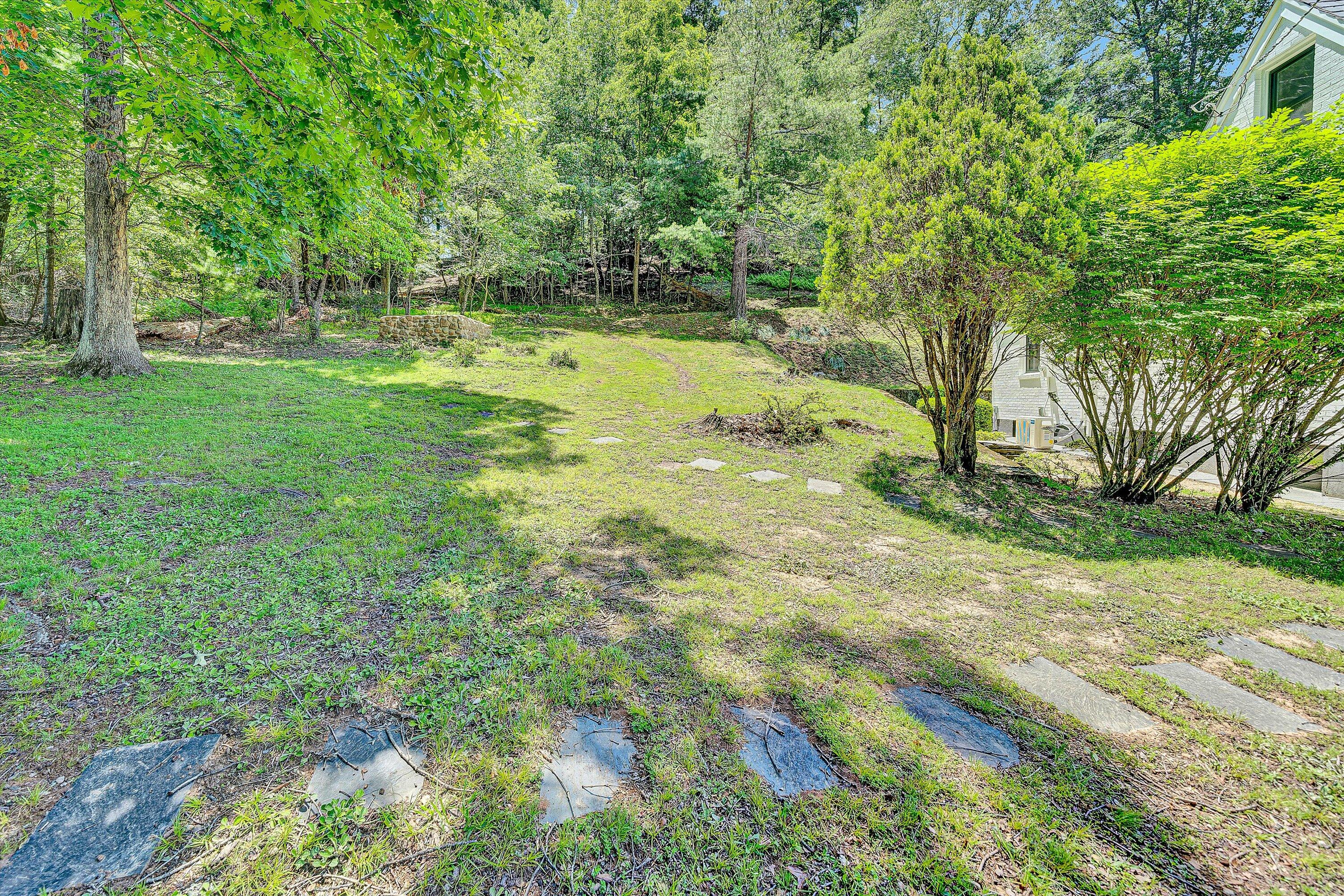 4816 Colonial Ave, Roanoke, Virginia image 39