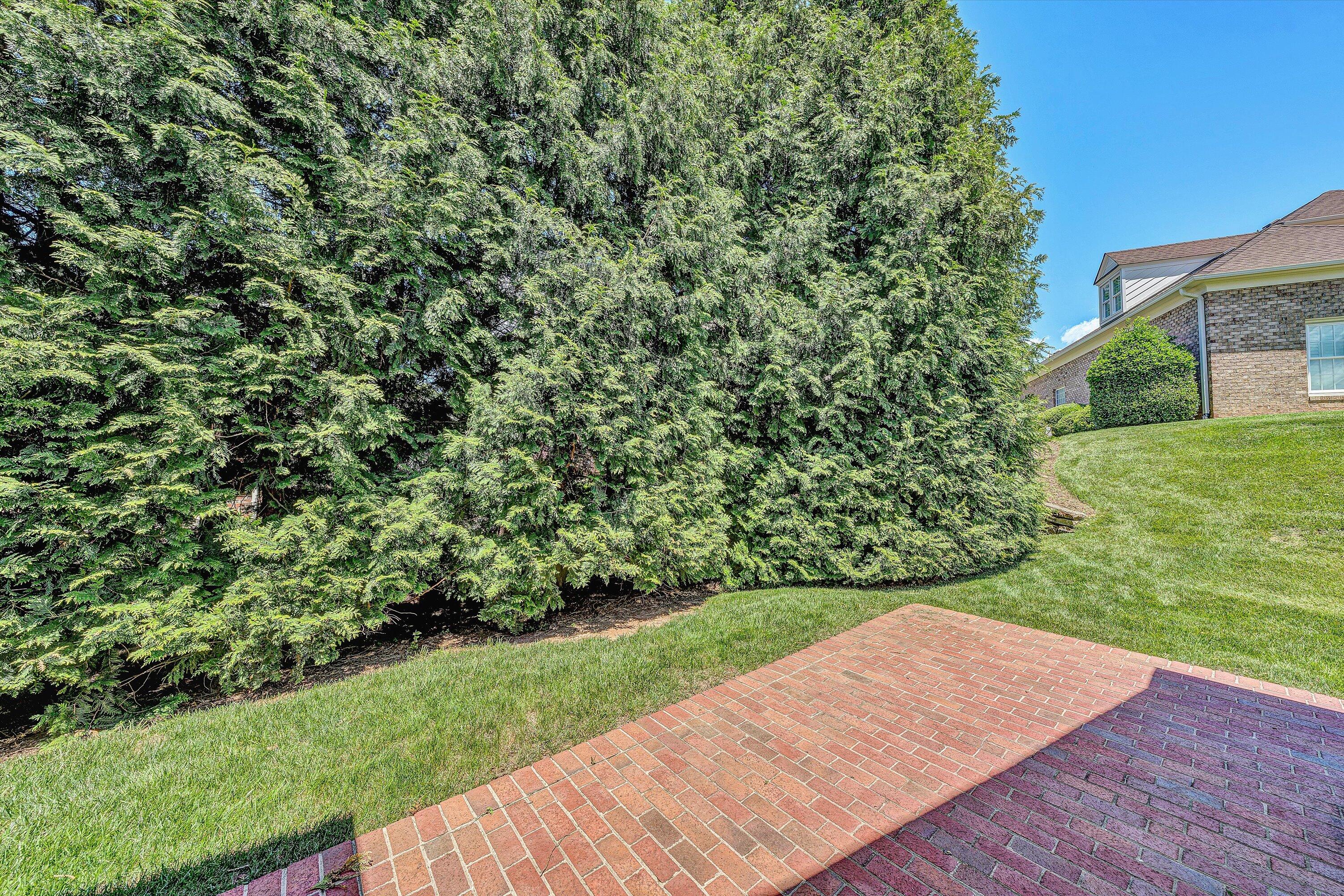 3303 Belshire Ct, Roanoke, Virginia image 31