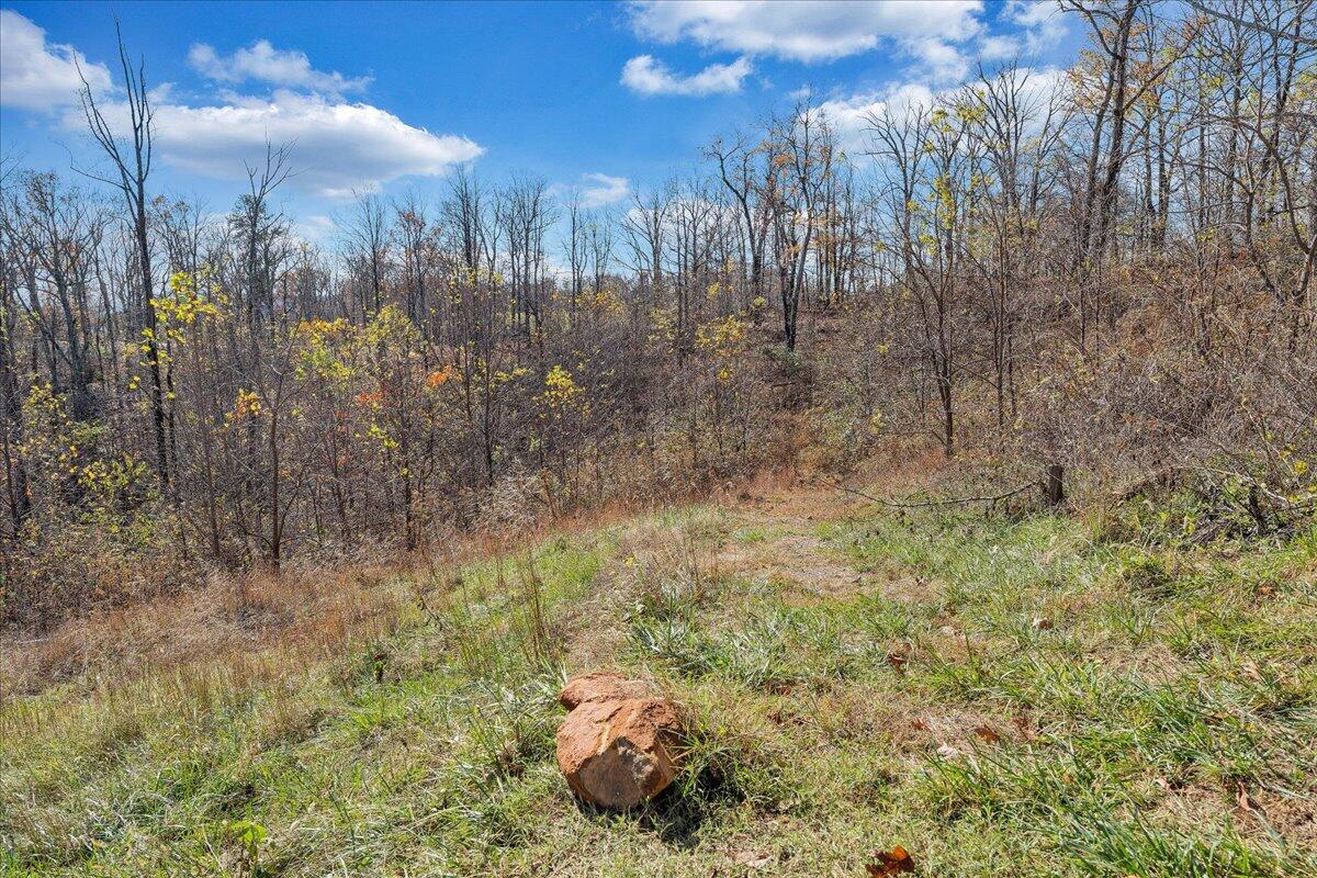 1891 Fosters Knob Rd, Blue Ridge, Virginia image 28