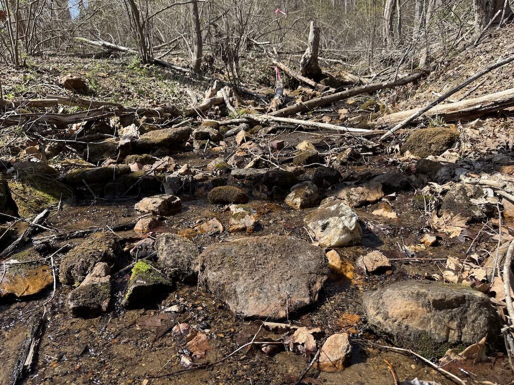 TBD Woodvale Rd, Copper Hill, Virginia image 5