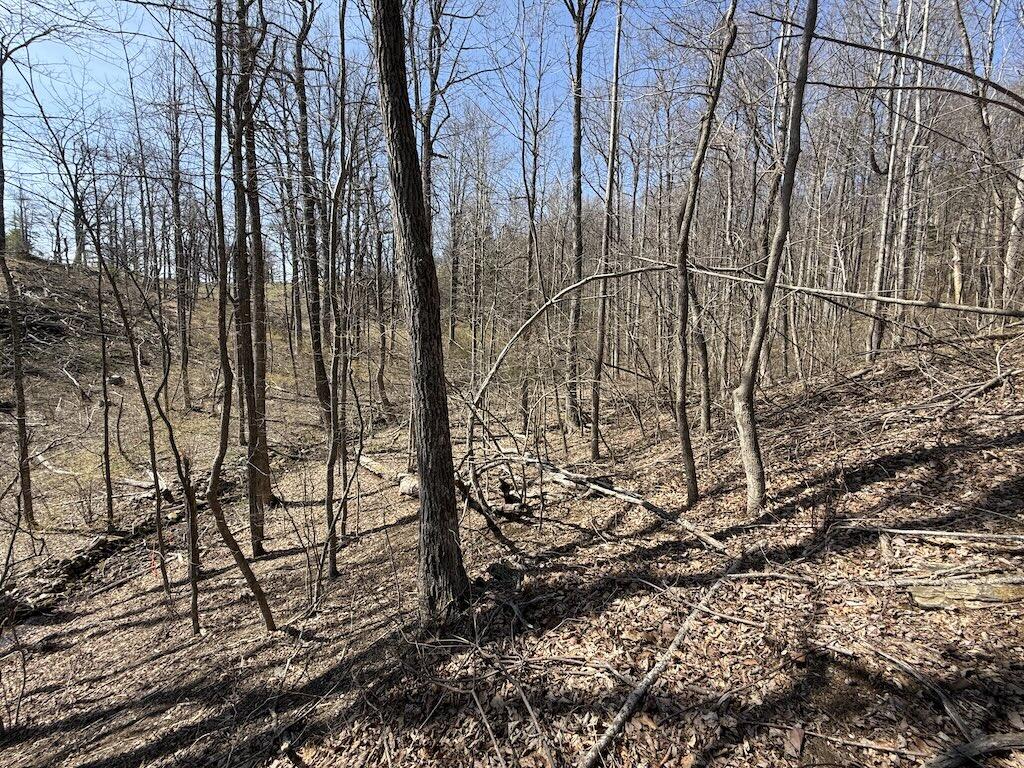 TBD Woodvale Rd, Copper Hill, Virginia image 14