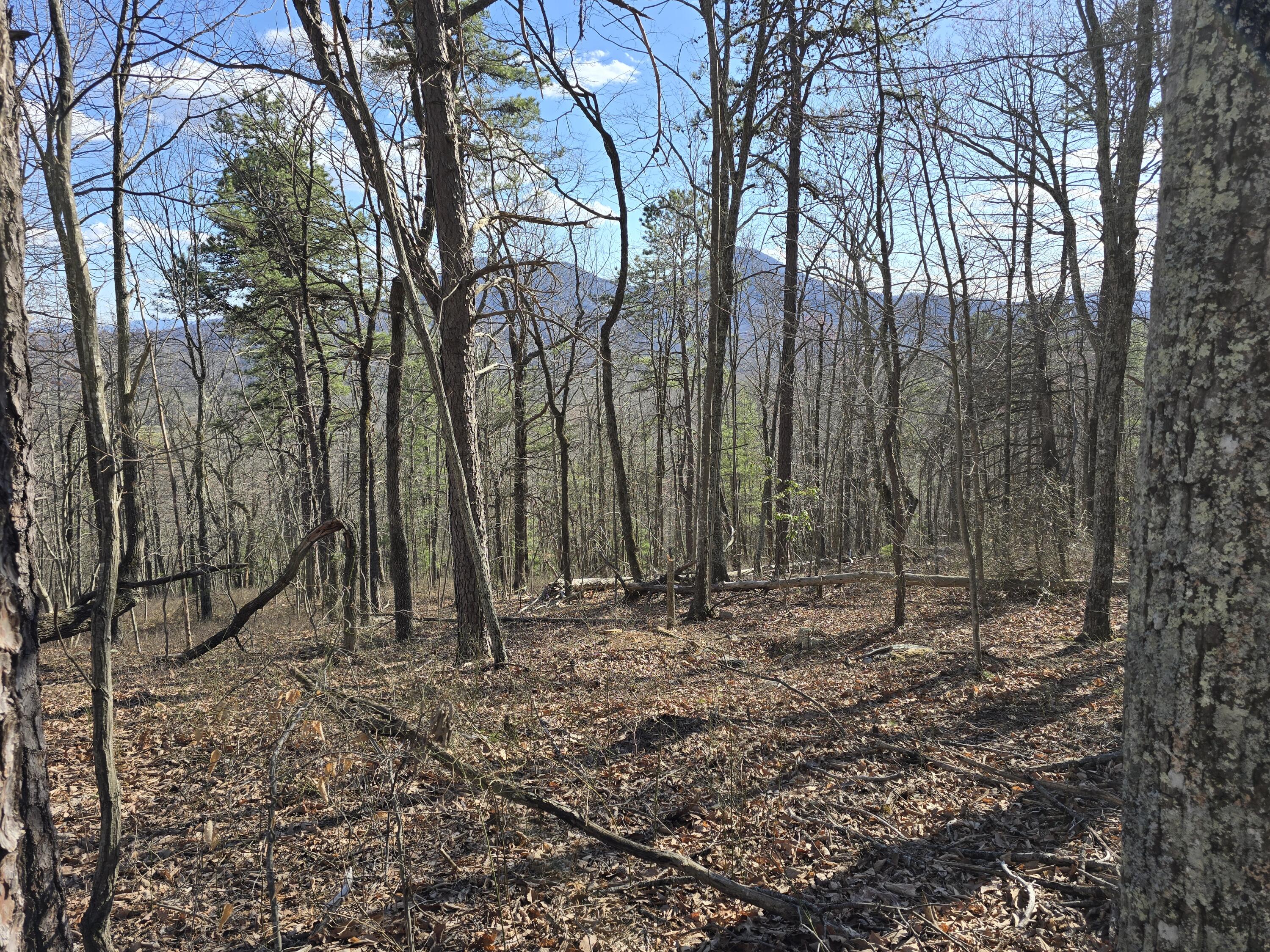 Lot 14 Wenlock Dr, Lexington, Virginia image 3