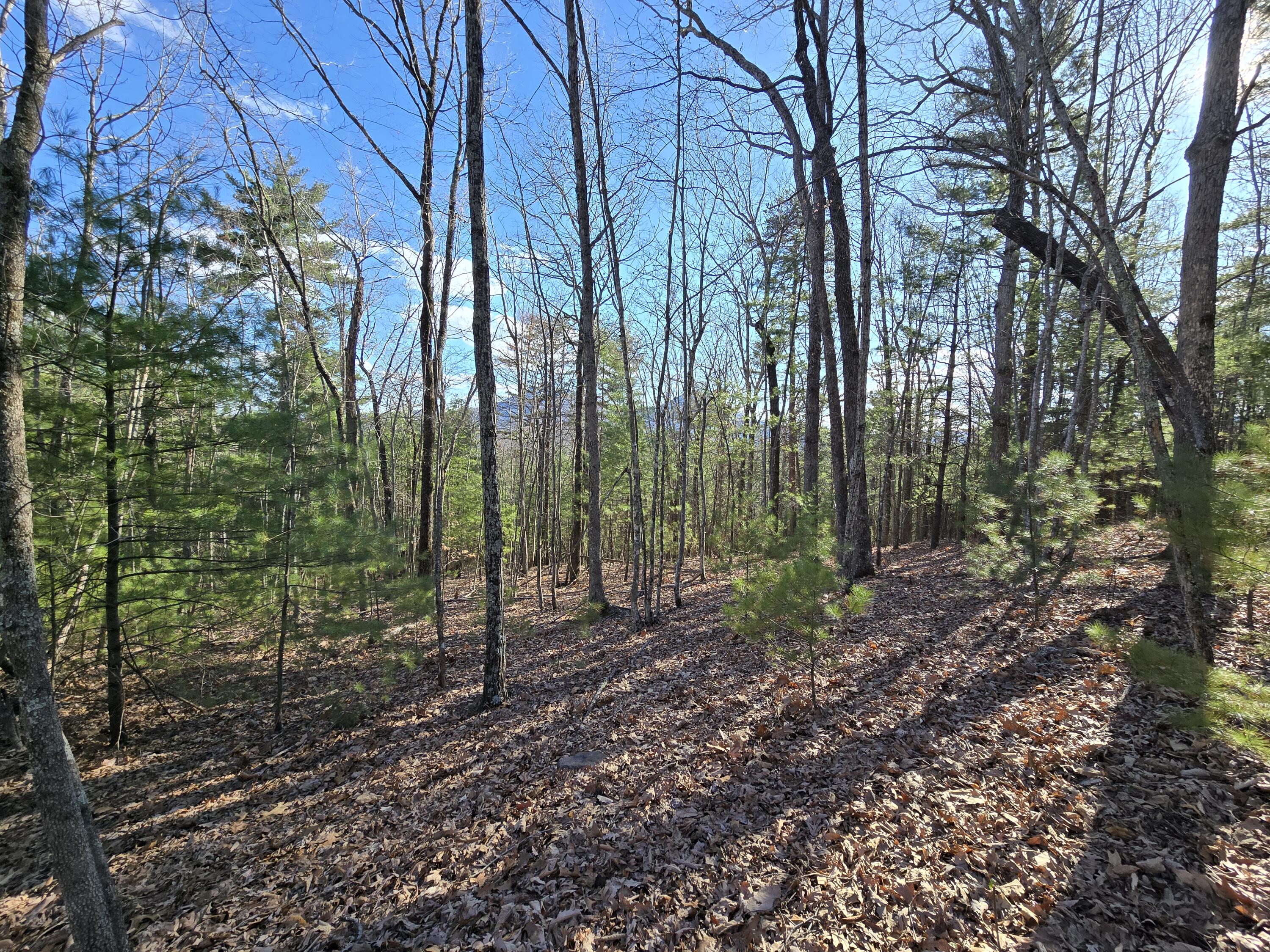 Lot 14 Wenlock Dr, Lexington, Virginia image 14
