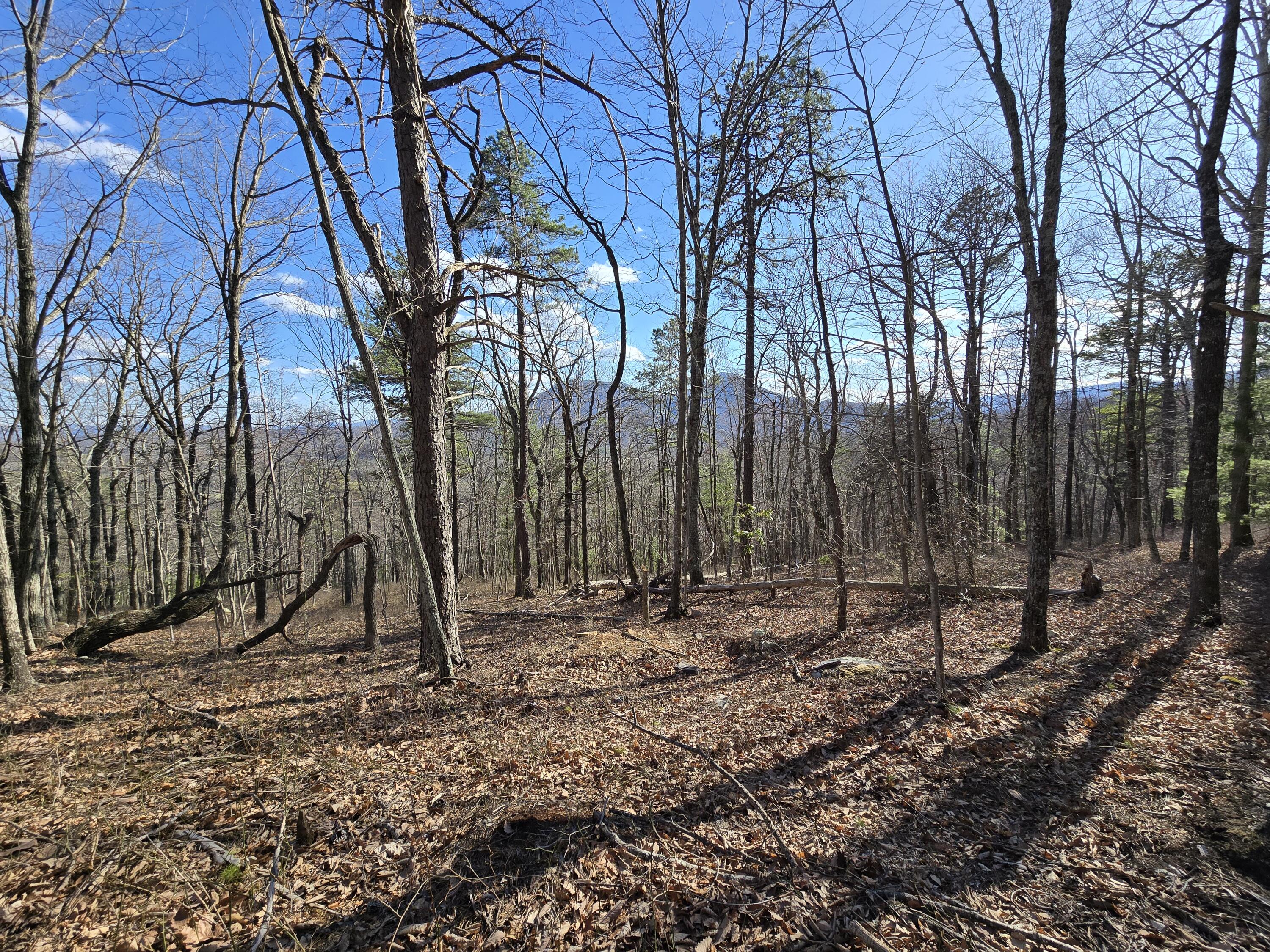 Lot 14 Wenlock Dr, Lexington, Virginia image 2