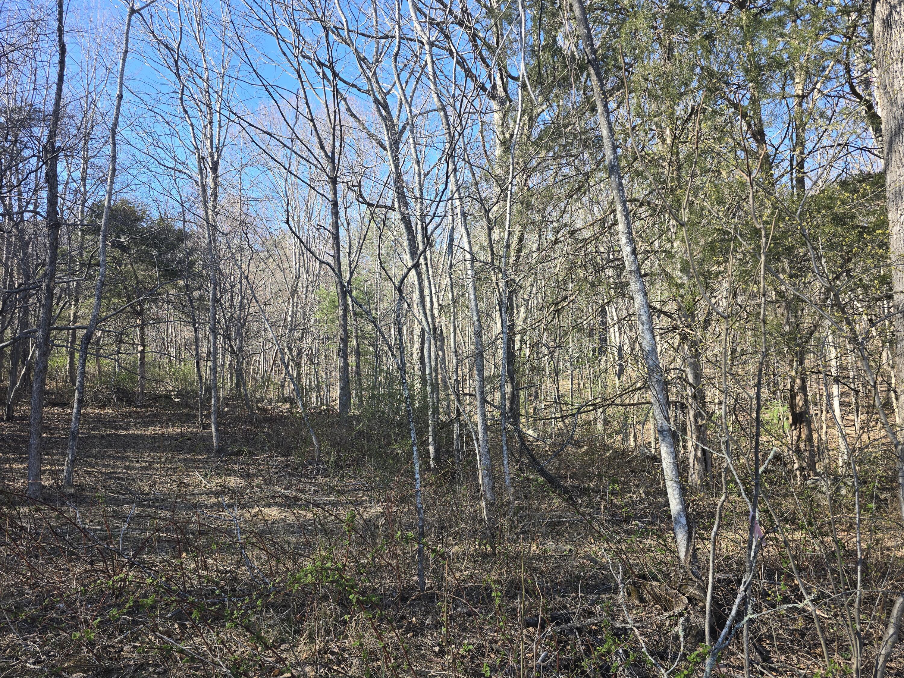 Lot 14 Wenlock Dr, Lexington, Virginia image 7