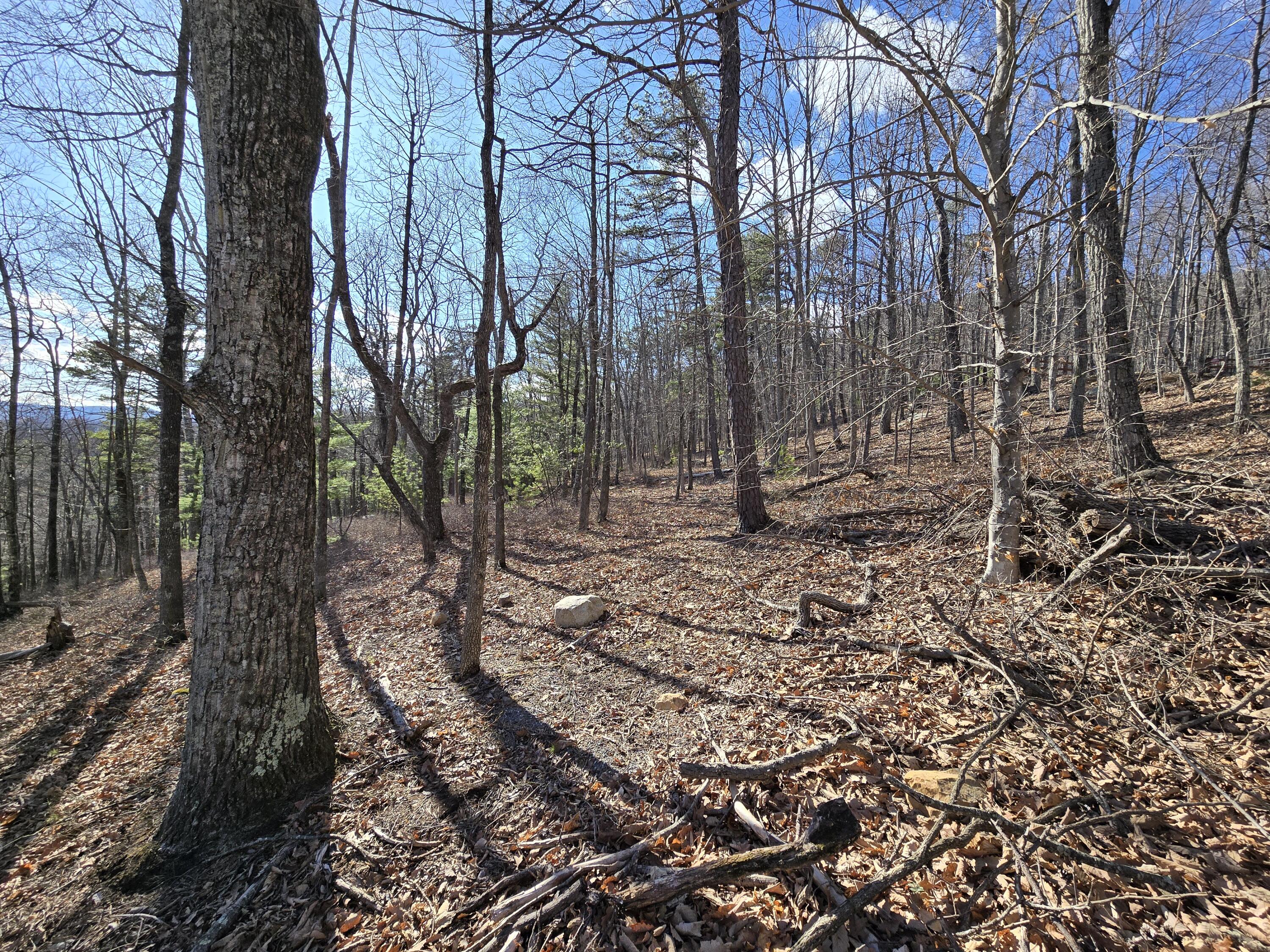 Lot 14 Wenlock Dr, Lexington, Virginia image 6
