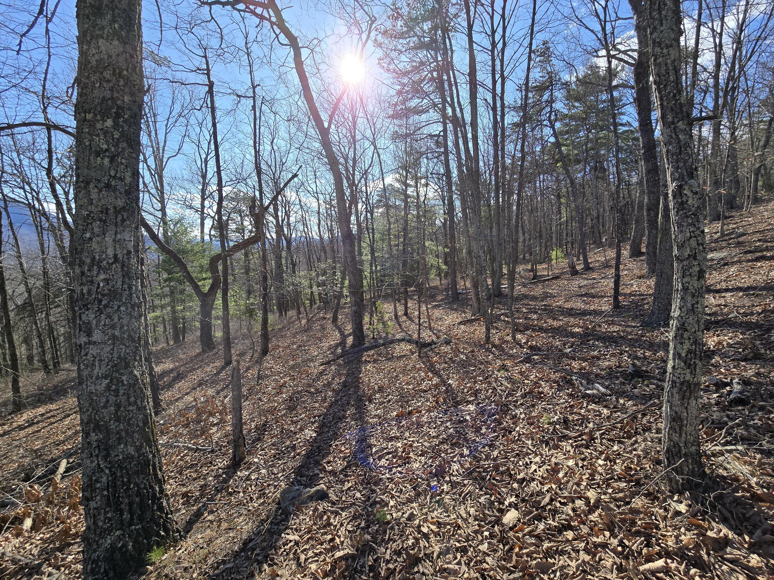 Lot 14 Wenlock Dr, Lexington, Virginia image 4