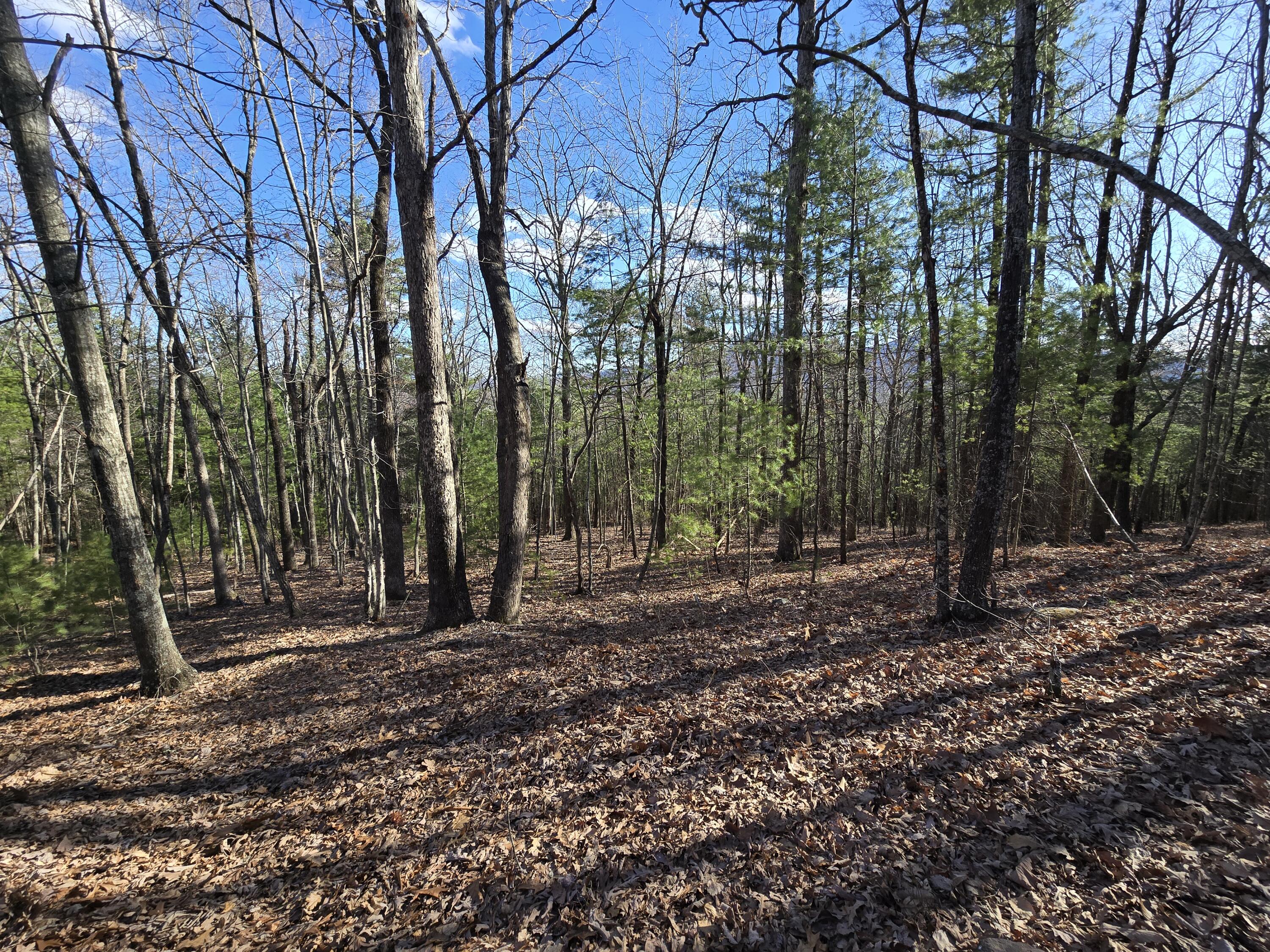 Lot 14 Wenlock Dr, Lexington, Virginia image 12