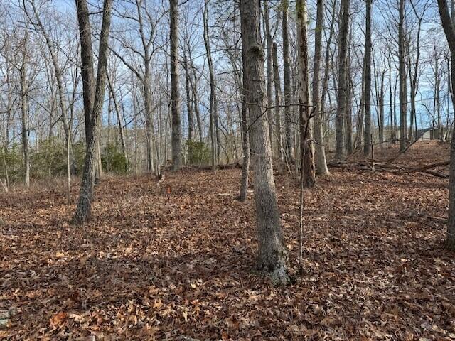 Lot 48 Old Mill Dr, Hardy, Virginia image 1