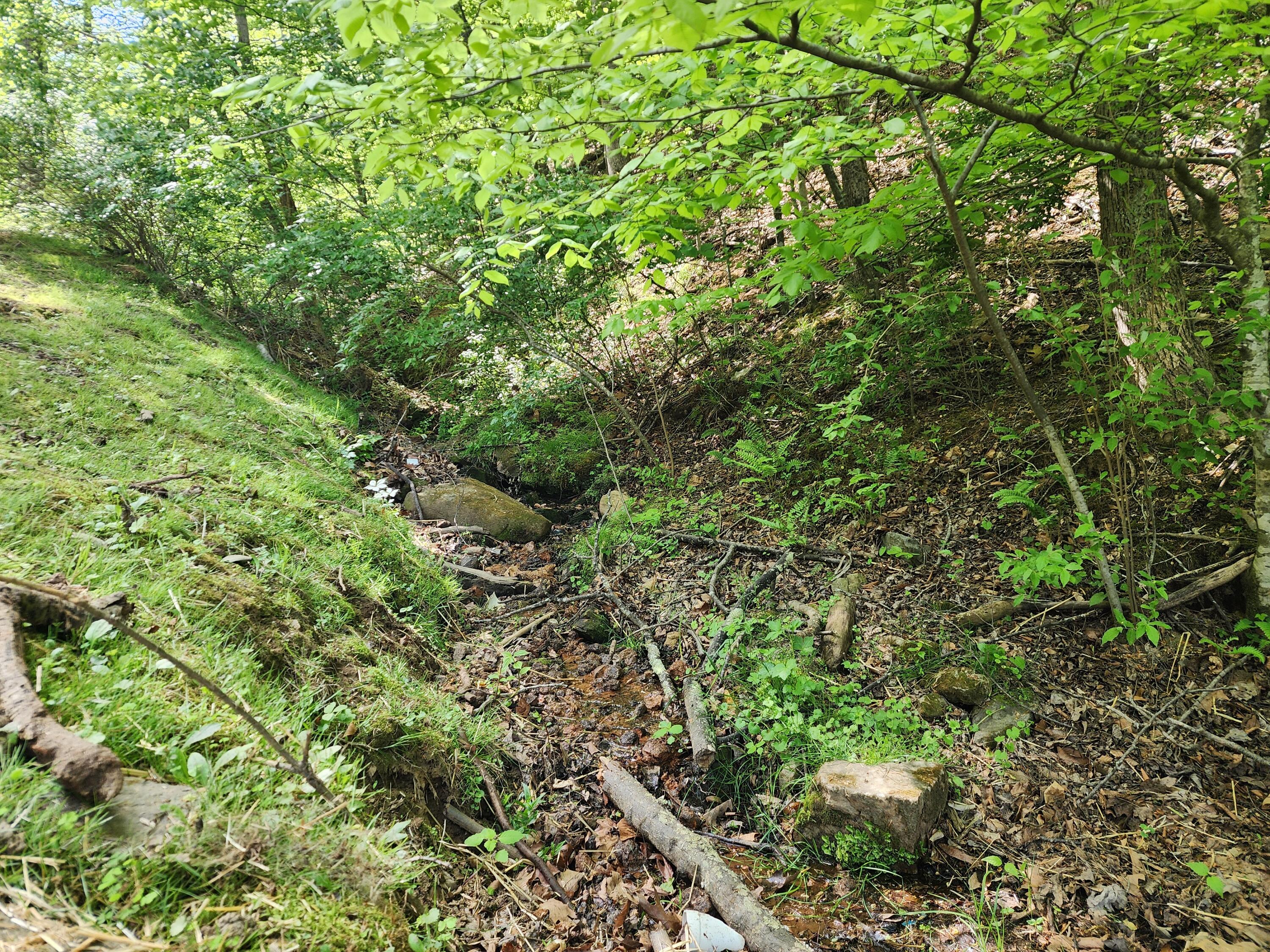 Goodview, Virginia 24095, United States, 3 Bedrooms Bedrooms, ,3 BathroomsBathrooms,Residential,Pending,119828