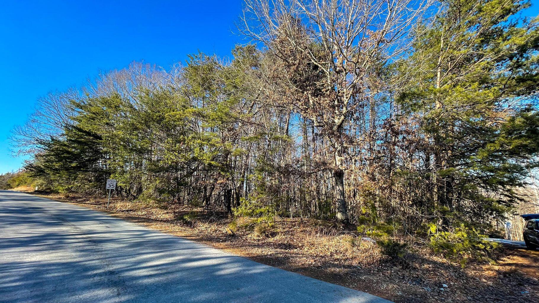 Lot 86 Winding Waters Dr, Moneta, Virginia image 4