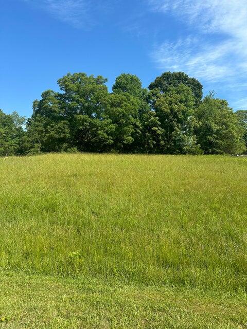 Lot 2 Virginia Ridge Dr, Hardy, Virginia image 1